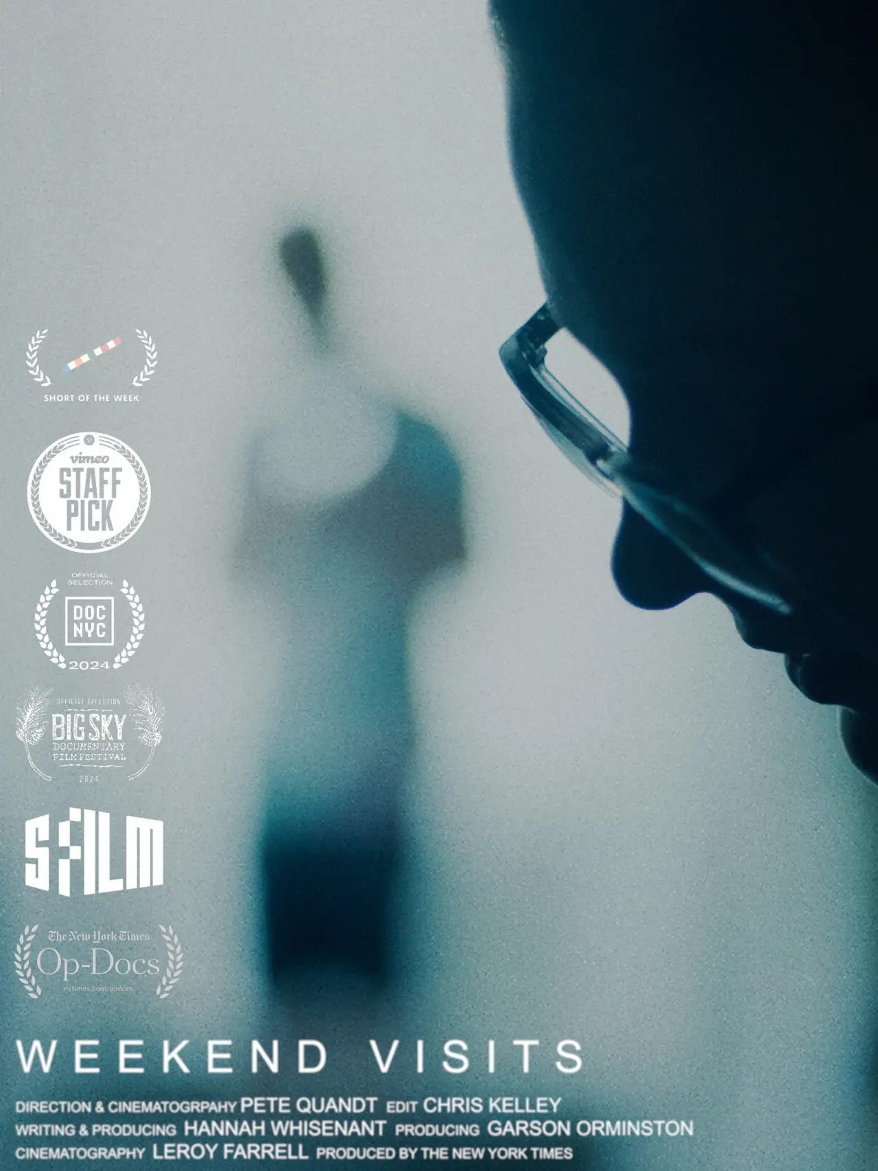 Movie poster "Weekend Visits"