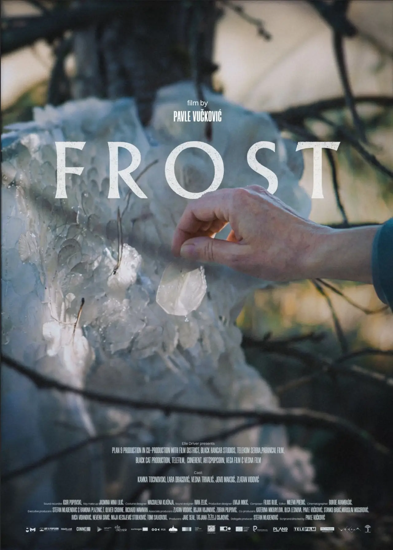 Movie poster "Frost"