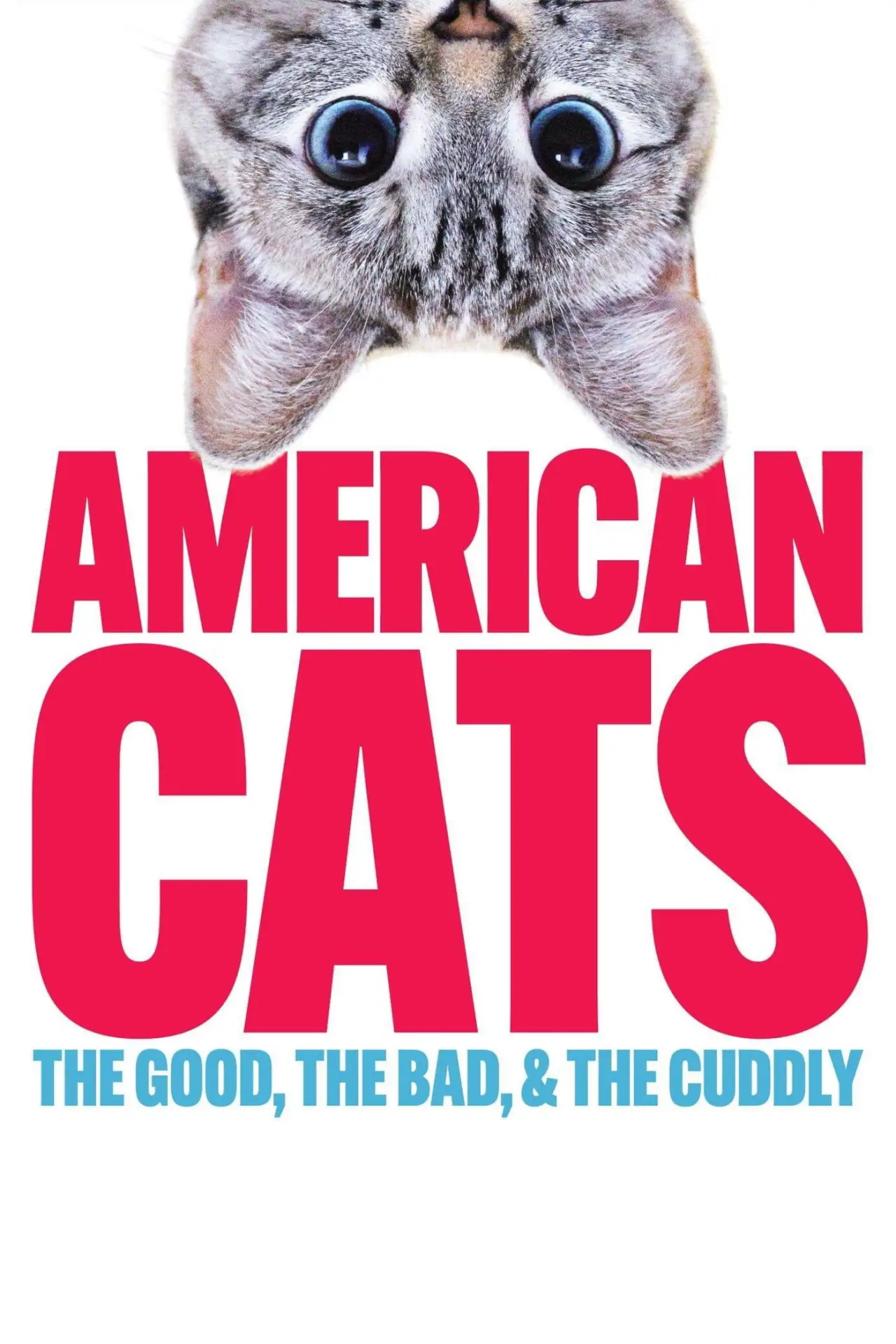 Movie poster "American Cats: The Good, the Bad, and the Cuddly"