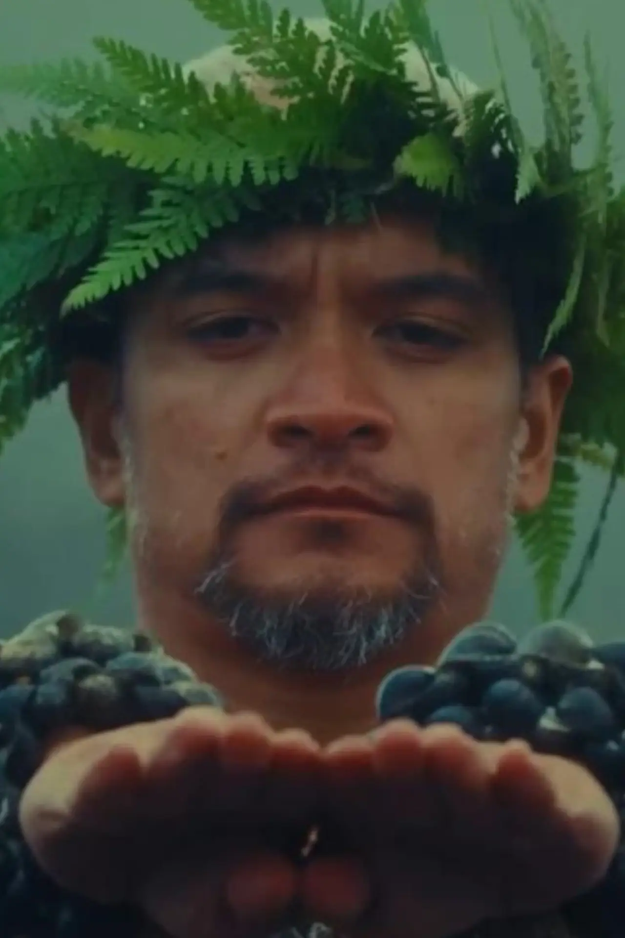 Movie poster "Hula is Hawaii"