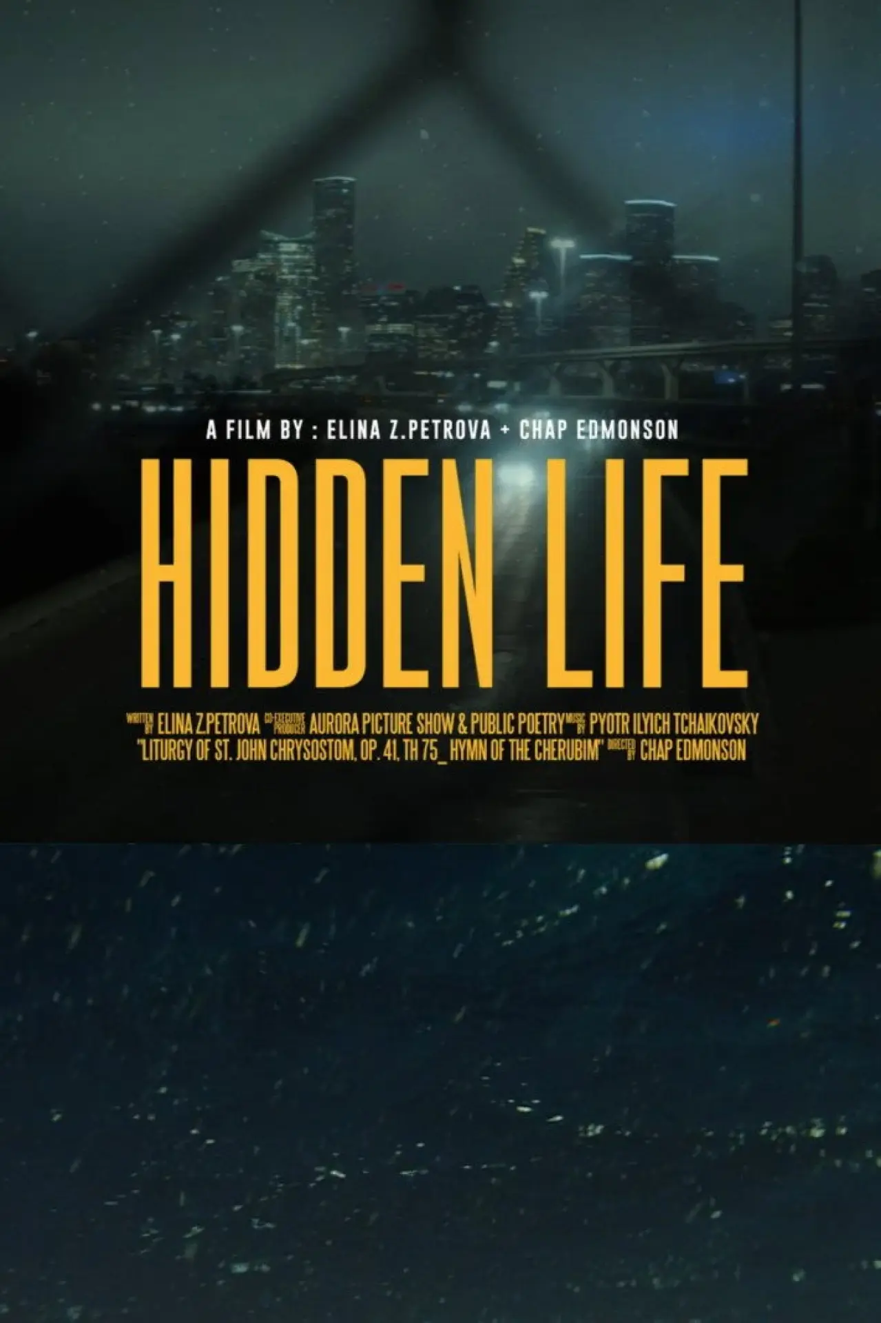 Movie poster "Hidden Life"