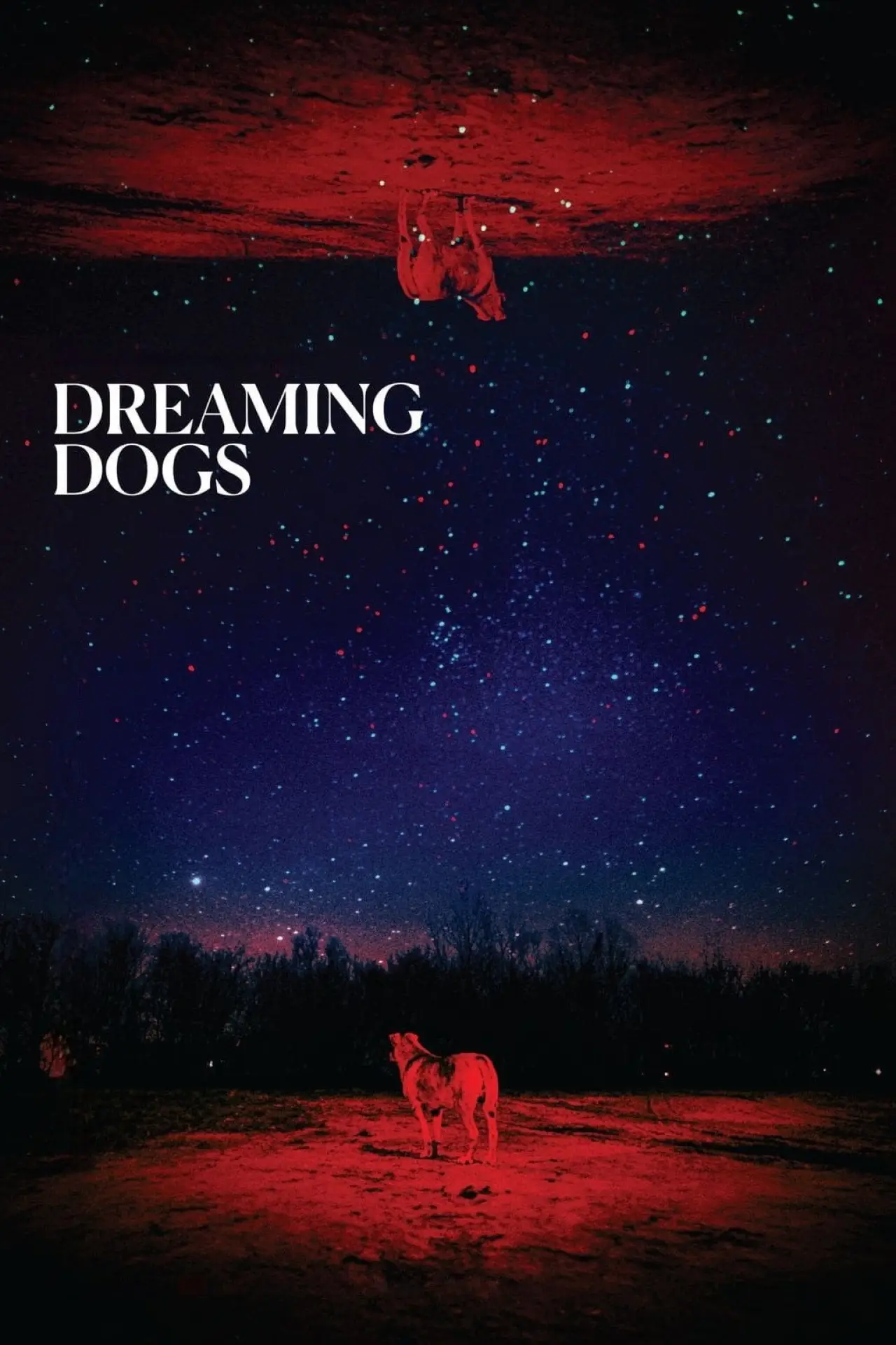 Movie poster "Dreaming Dogs"
