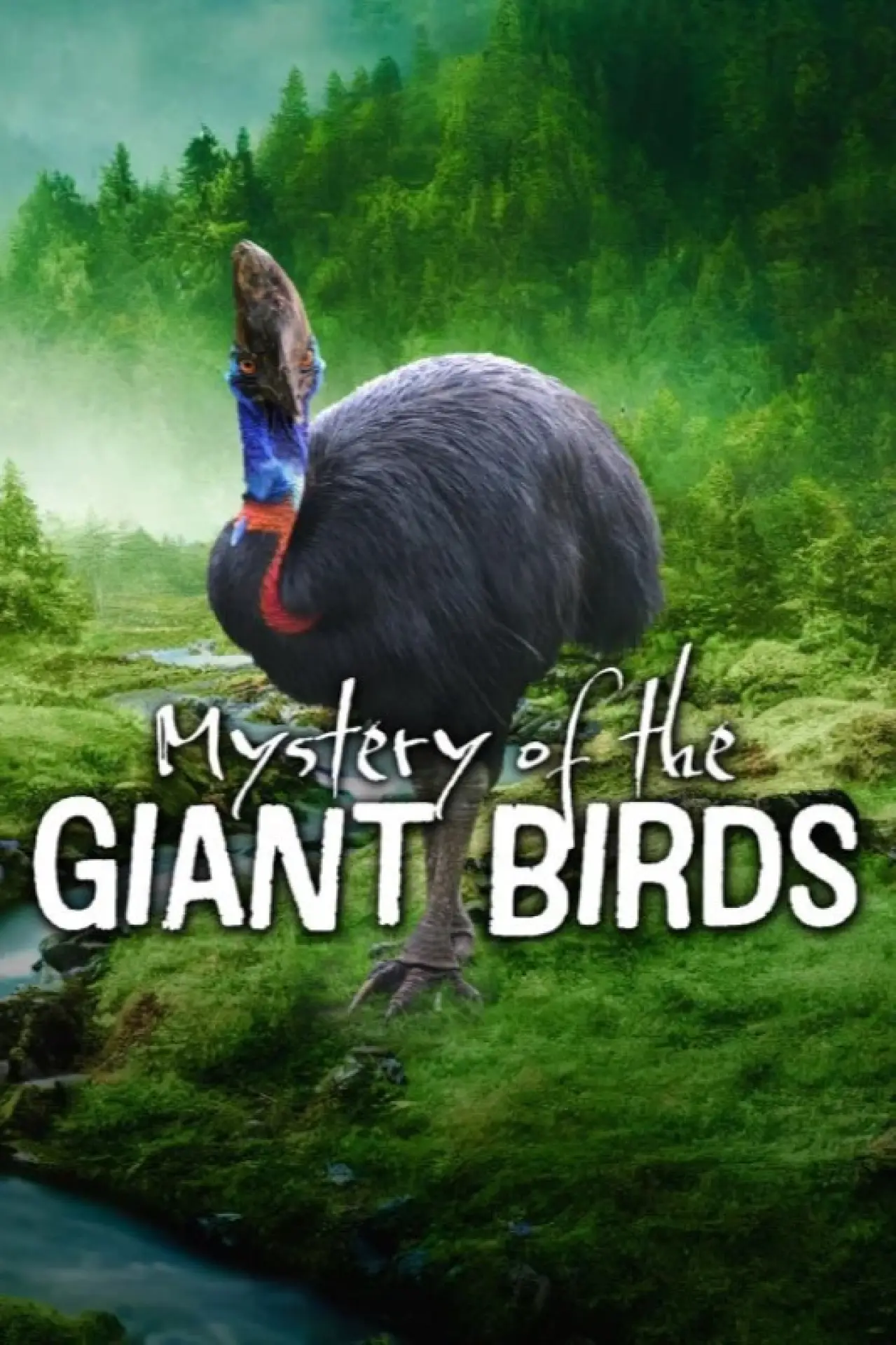 Movie poster "Le mystère des oiseaux géants"