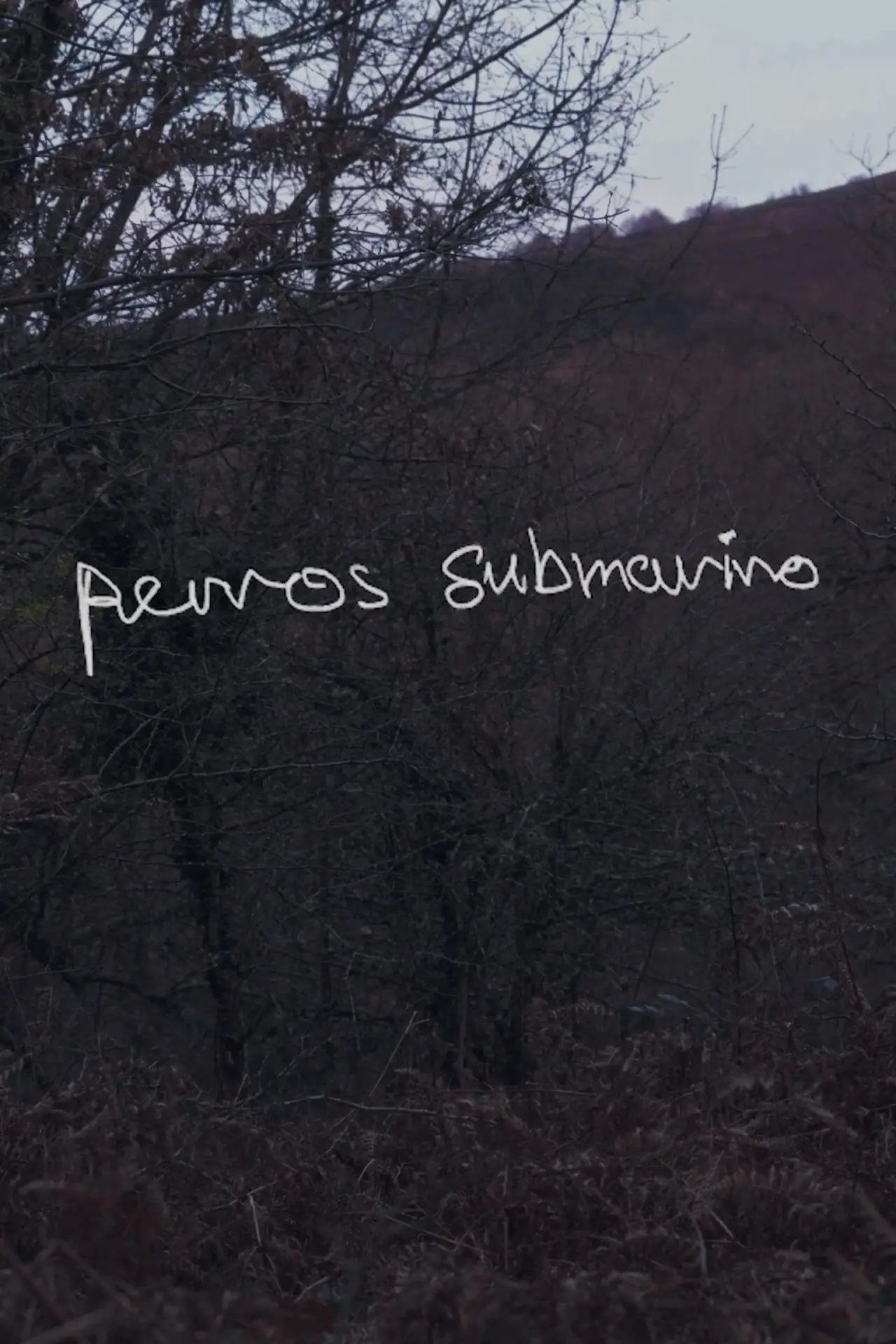 Movie poster "Perros submarino"