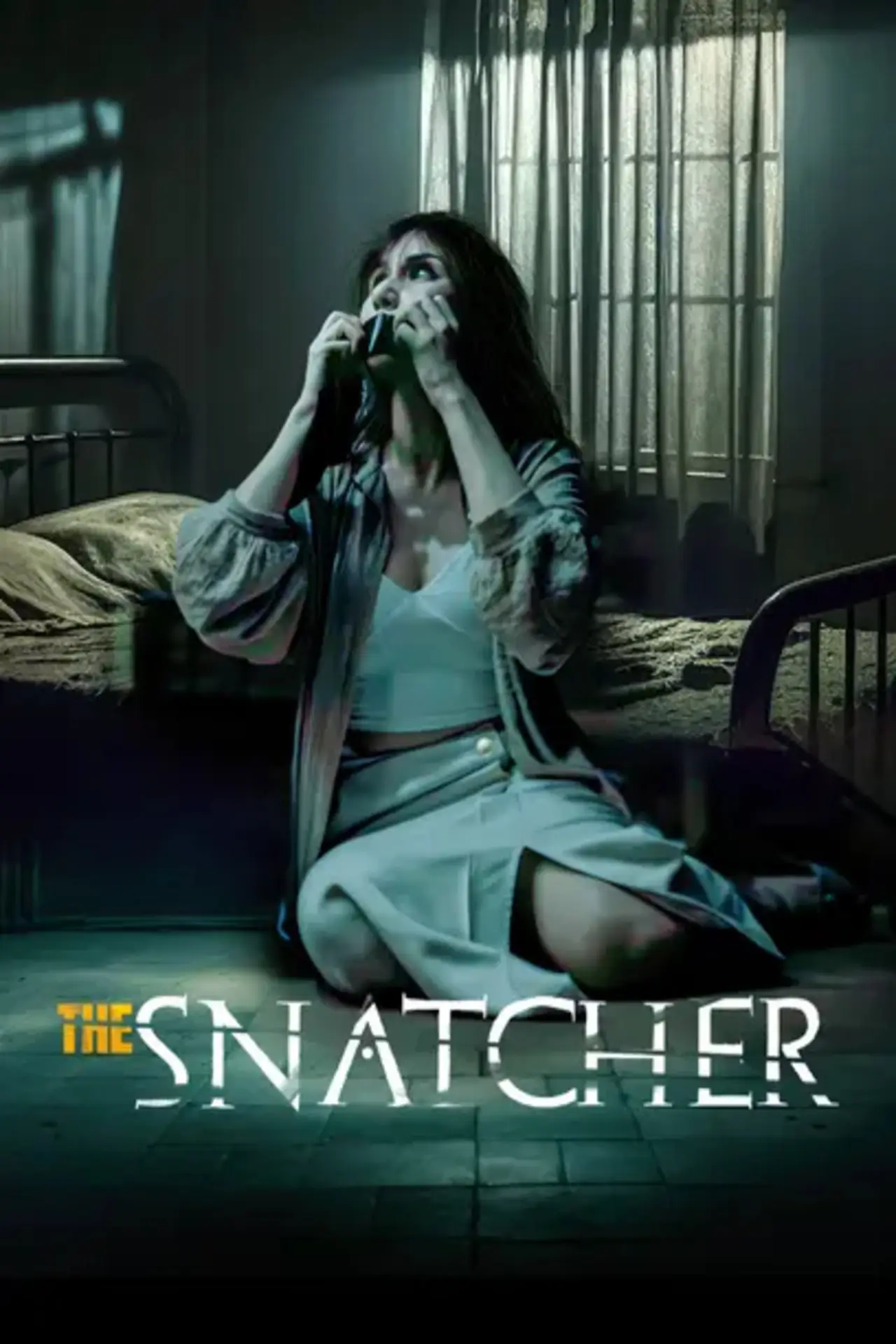 Movie poster "The Snatcher"