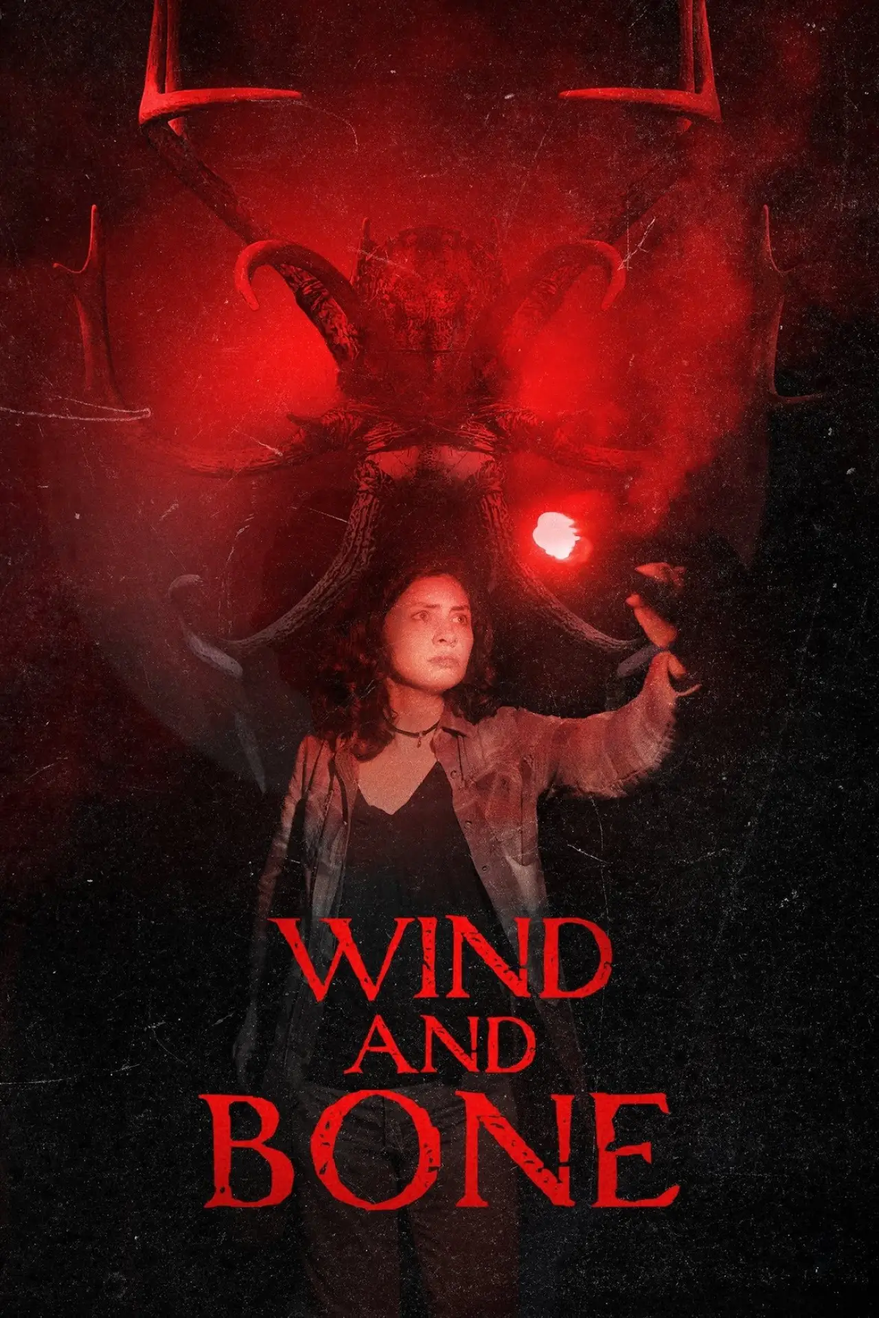 Movie poster "Wind and Bone"