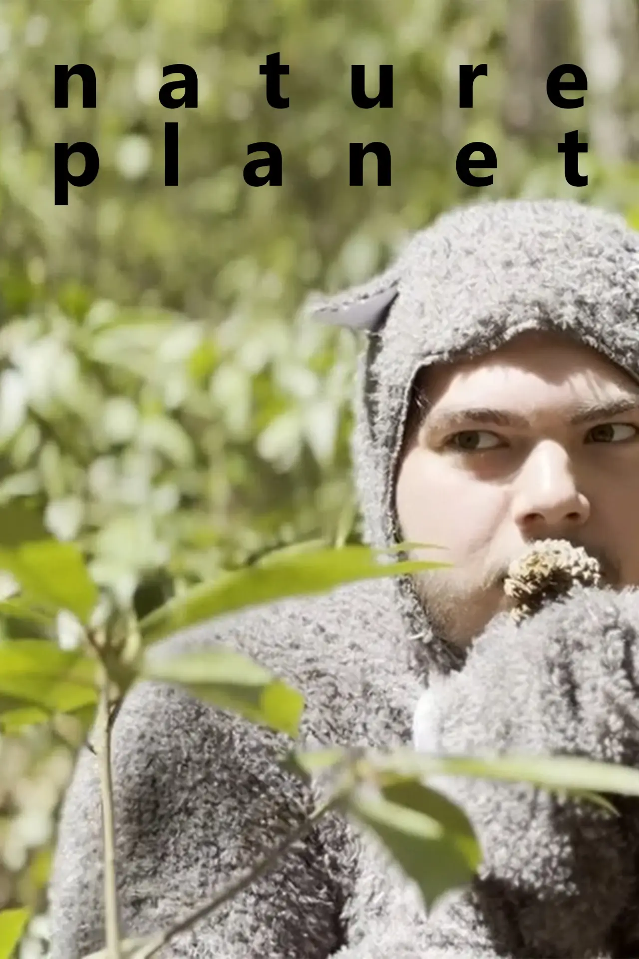 Movie poster "Nature Planet: Squirrels"