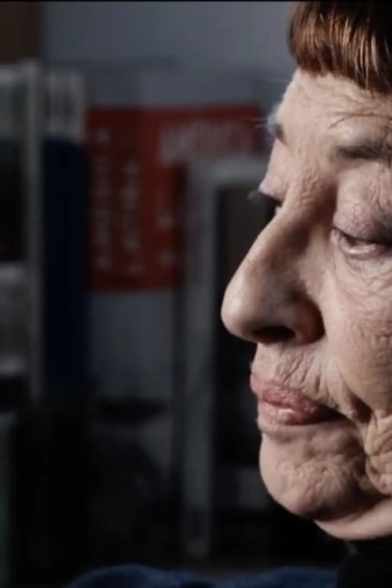 Movie poster "PROVISIONAL CARTOGRAPHY – interview with my mother –"