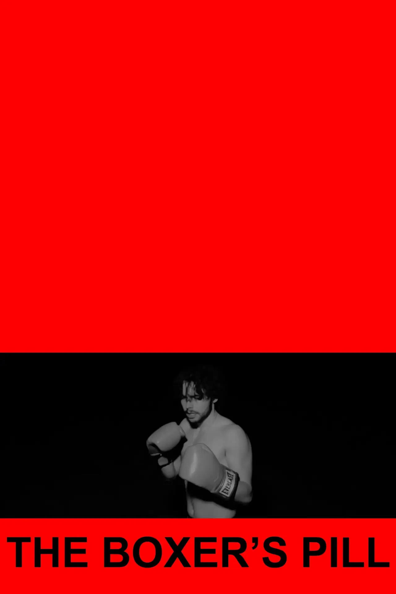 Movie poster "The Boxer