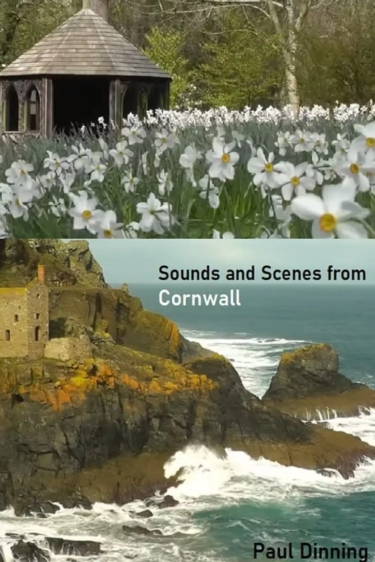 Movie poster "Sounds and Scenes from Cornwall"