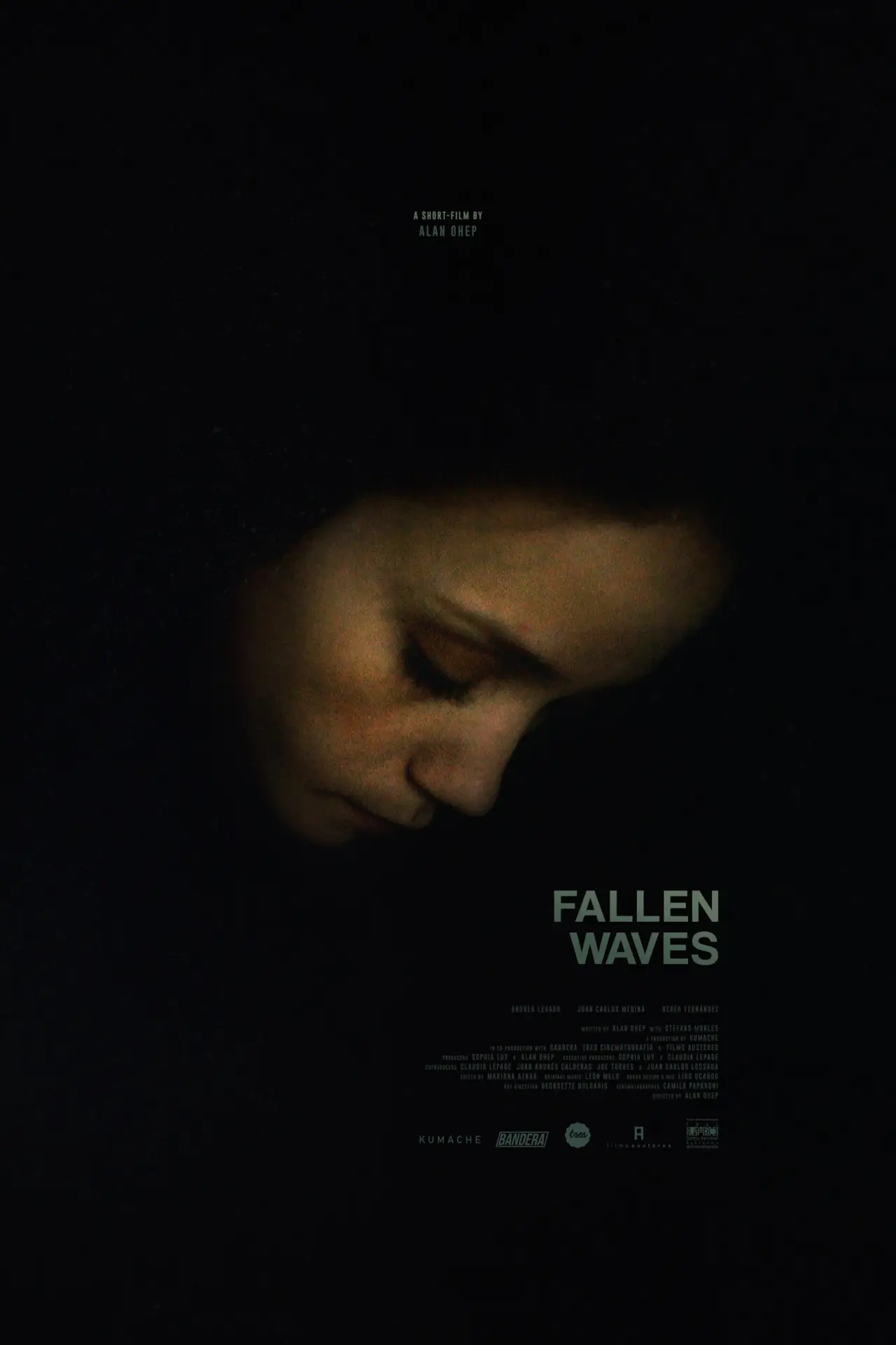 Movie poster "Fallen Waves"