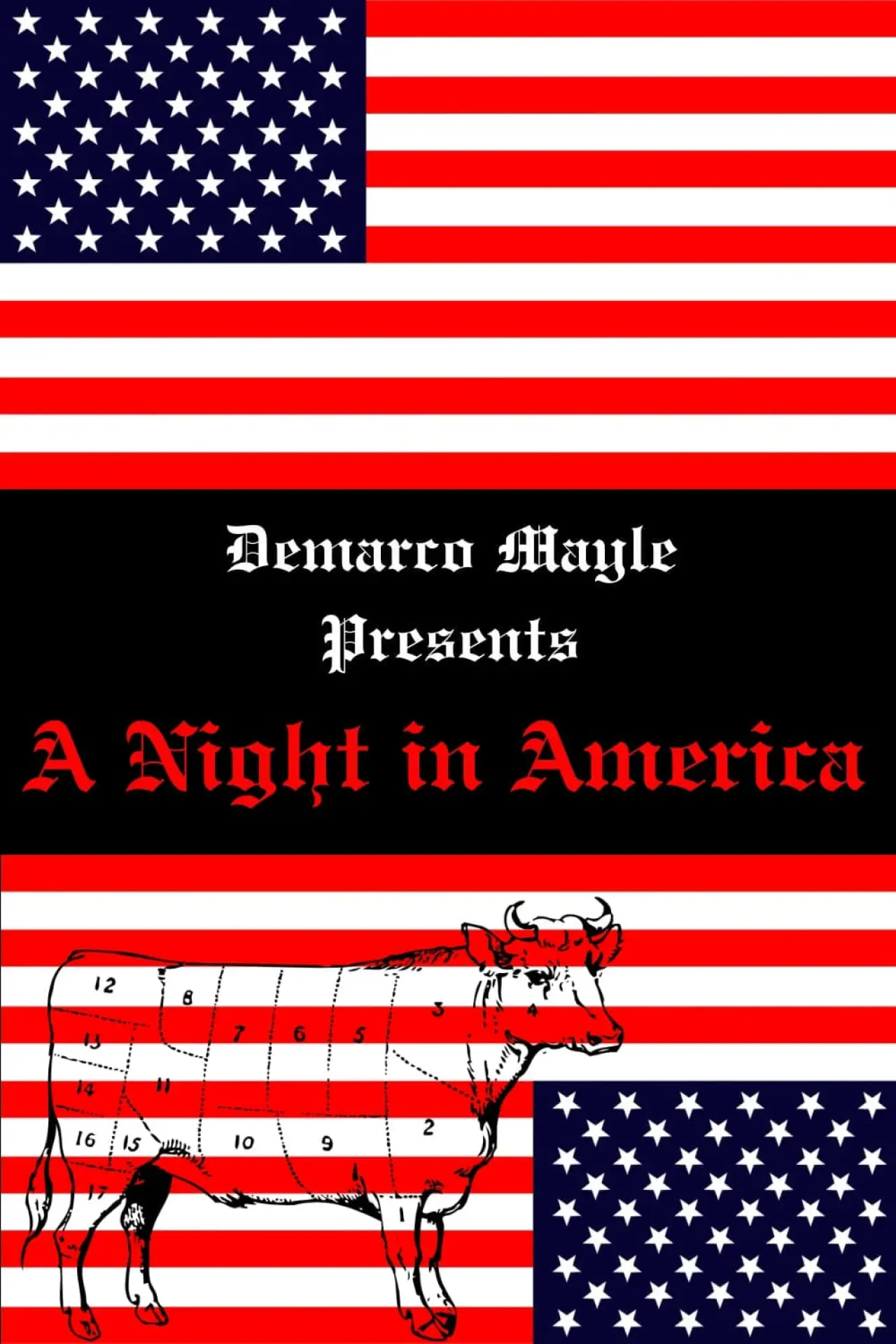 Movie poster "A Night in America"