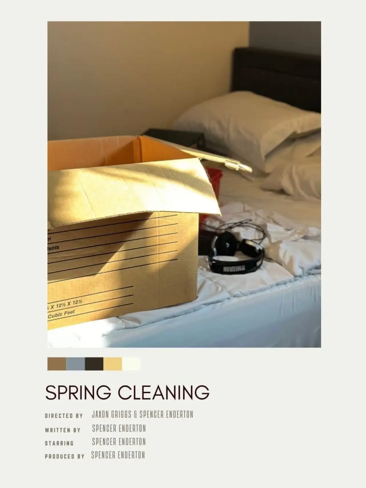 Movie poster "Spring Cleaning"