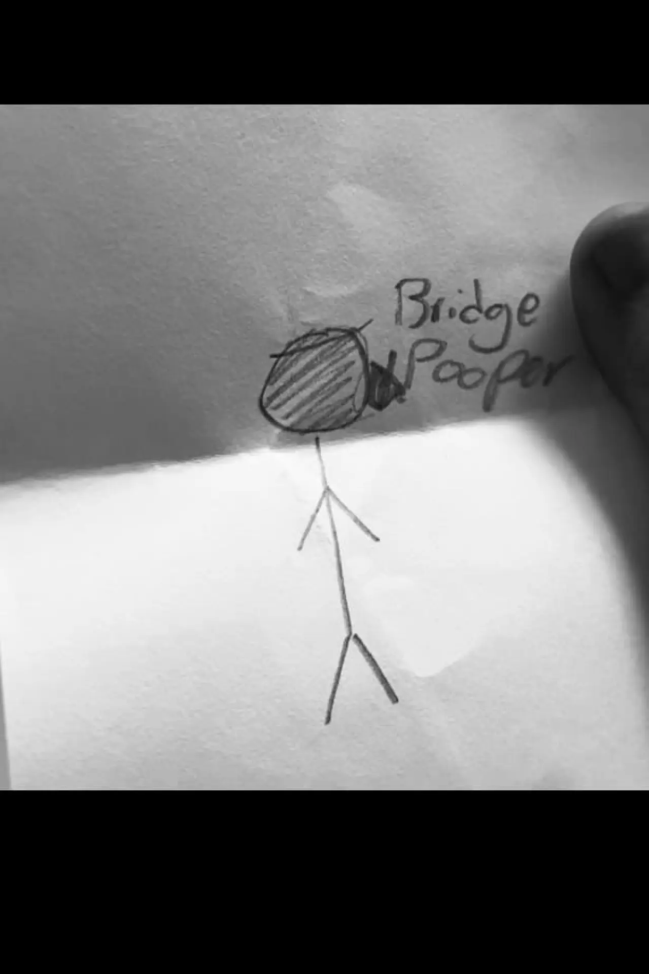 Movie poster "Bridge Pooper"