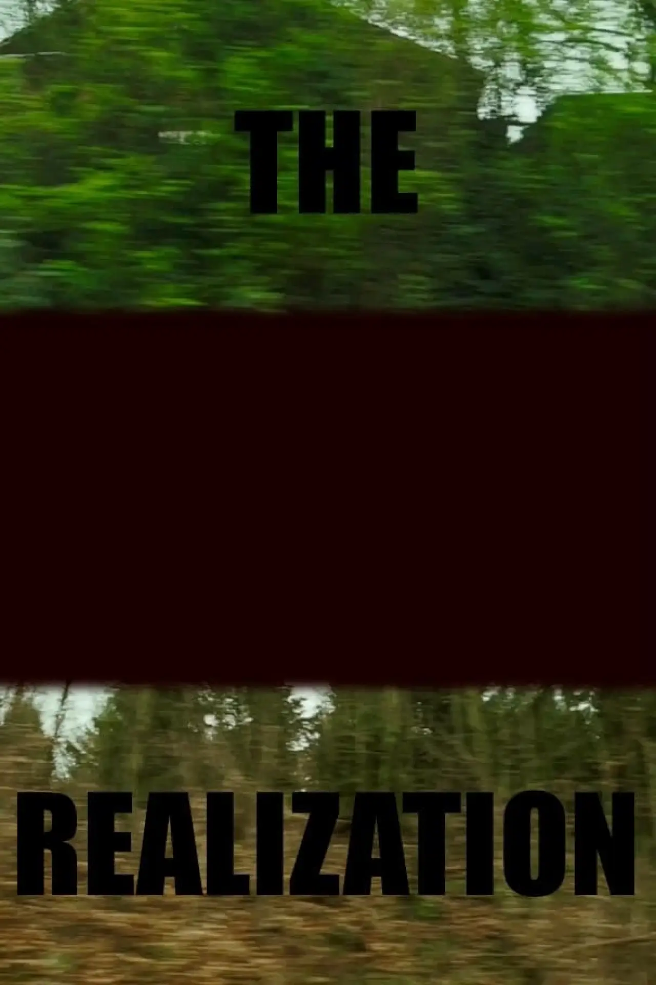 Movie poster "The realization"
