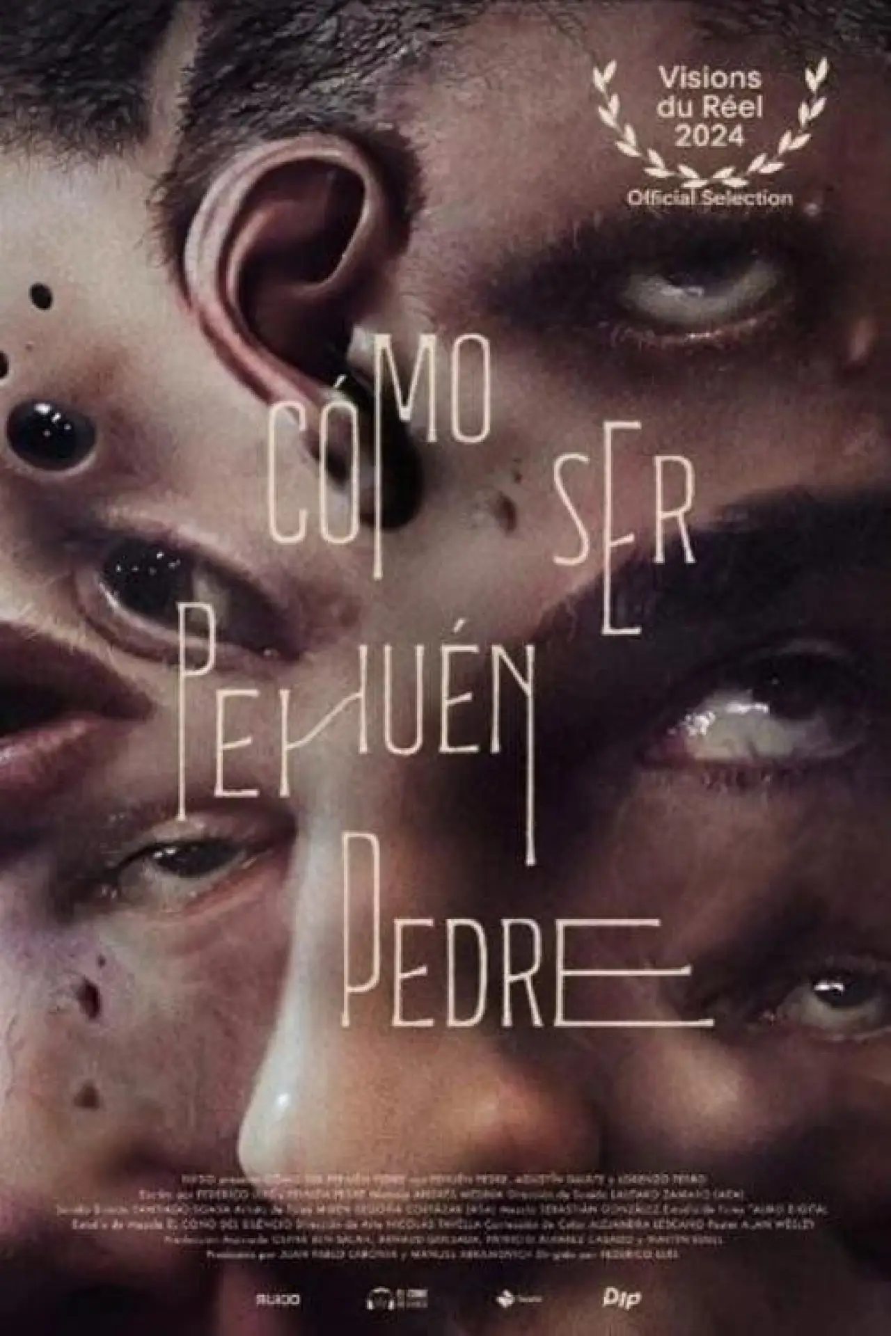 Movie poster "How to Be Pehuén Pedre"