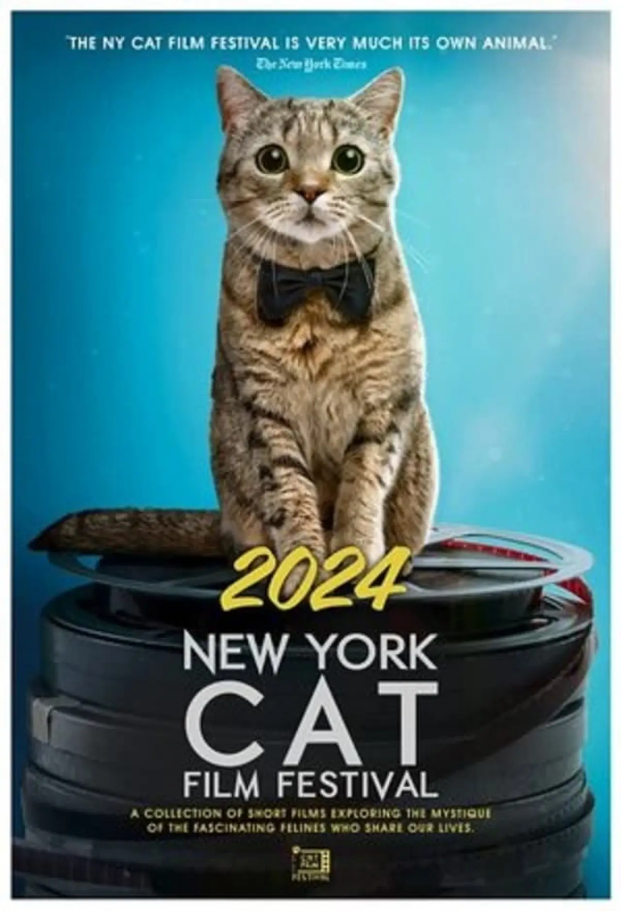 Movie poster "2024 New York Cat Film Festival"