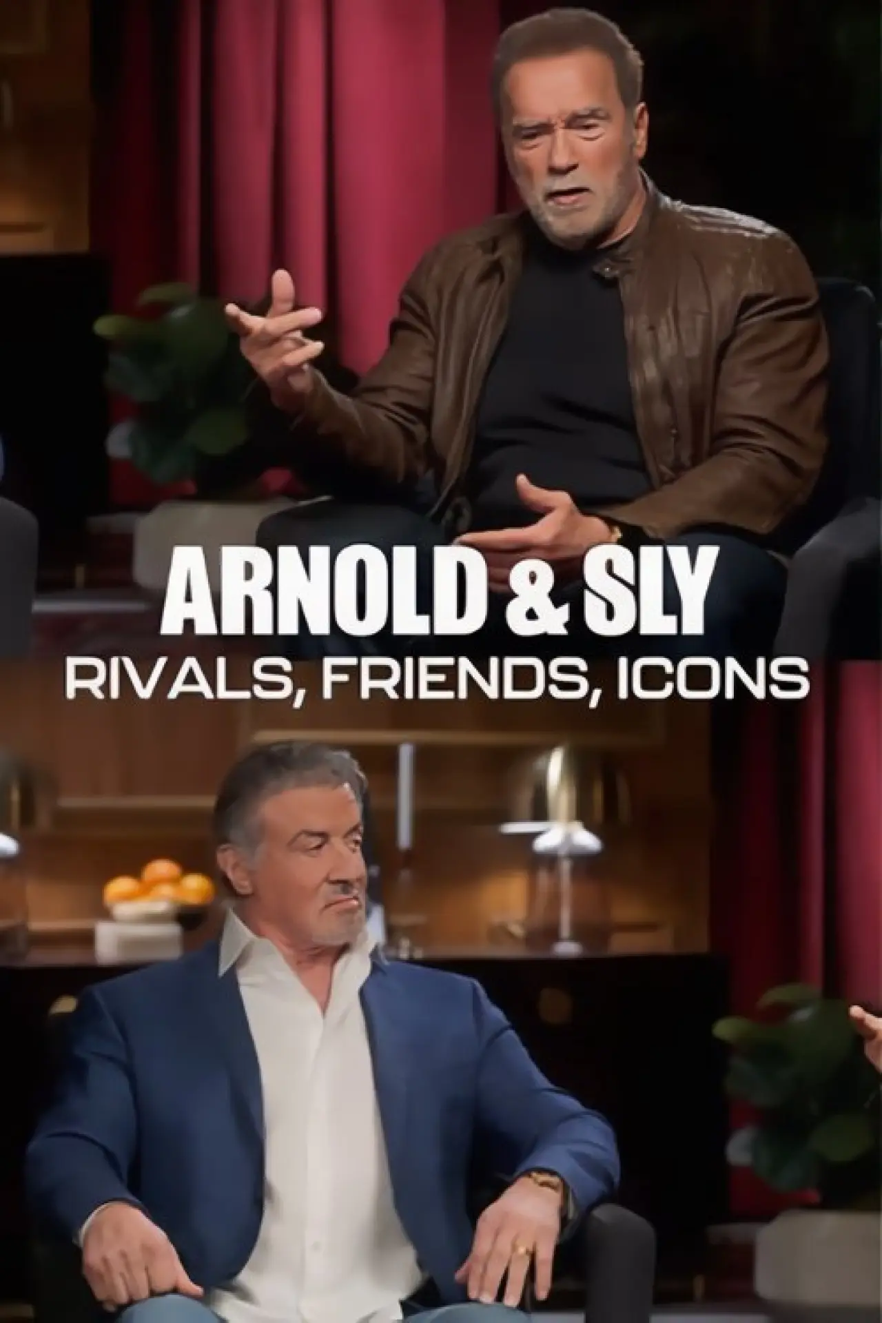 Movie poster "Arnold & Sly: Rivals, Friends, Icons"
