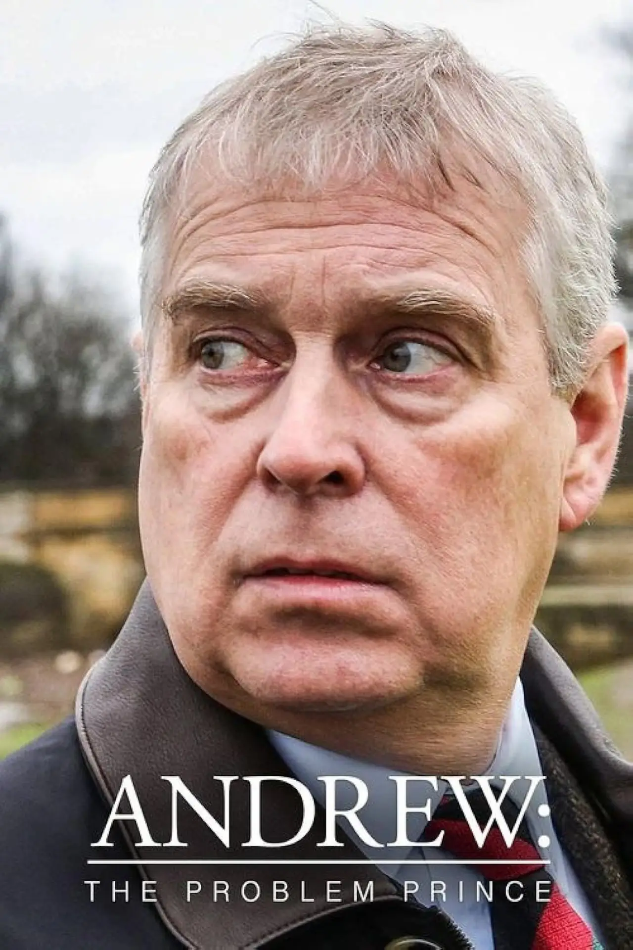 Movie poster "Andrew: The Problem Prince"