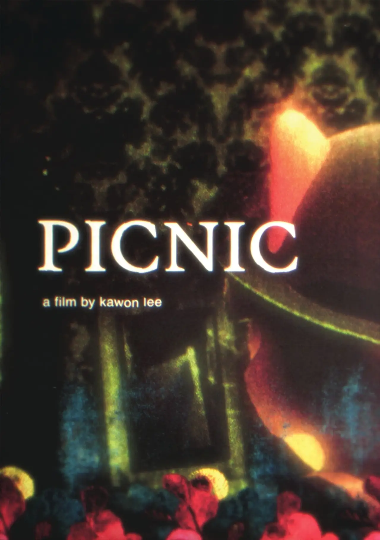 Movie poster "PICNIC"