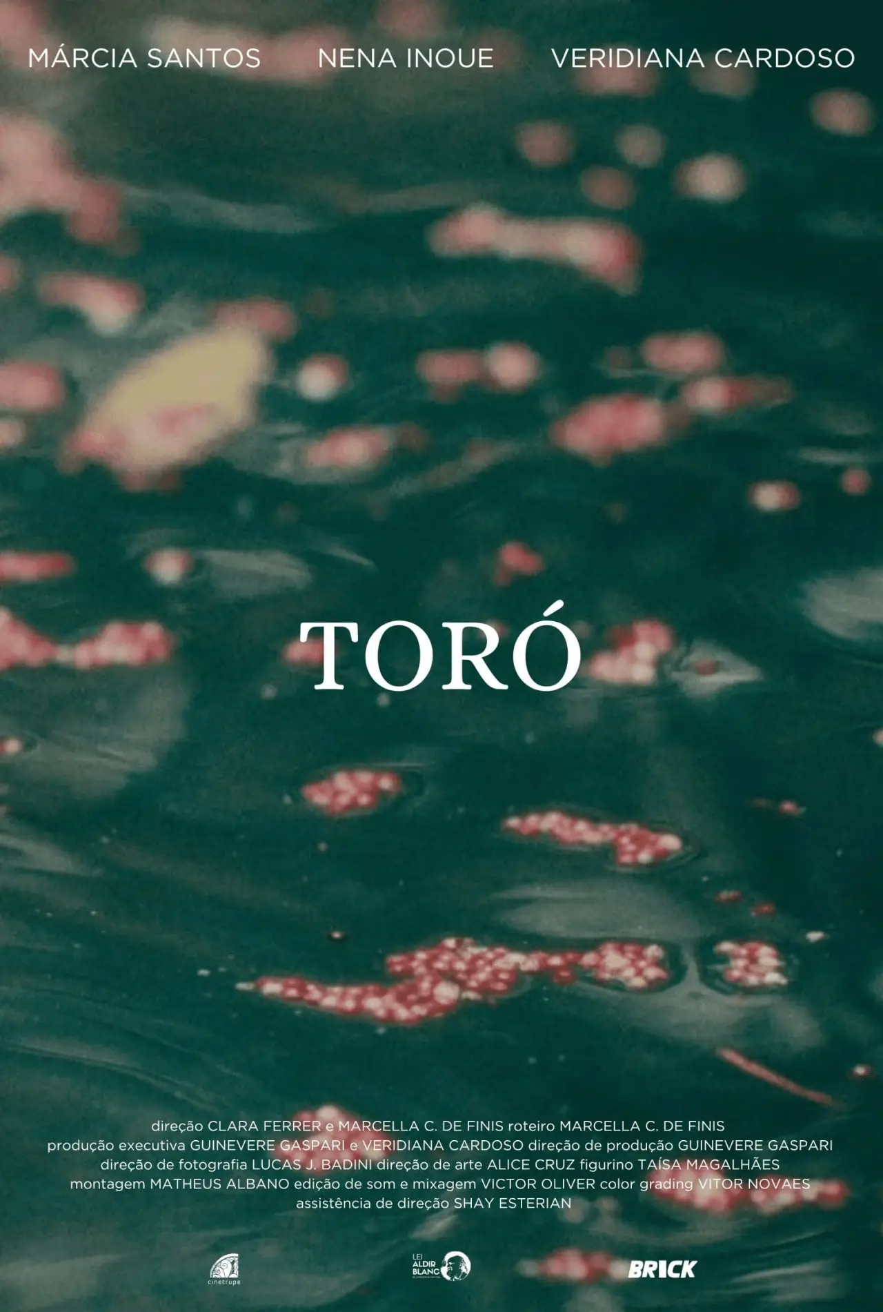 Movie poster "Toró"
