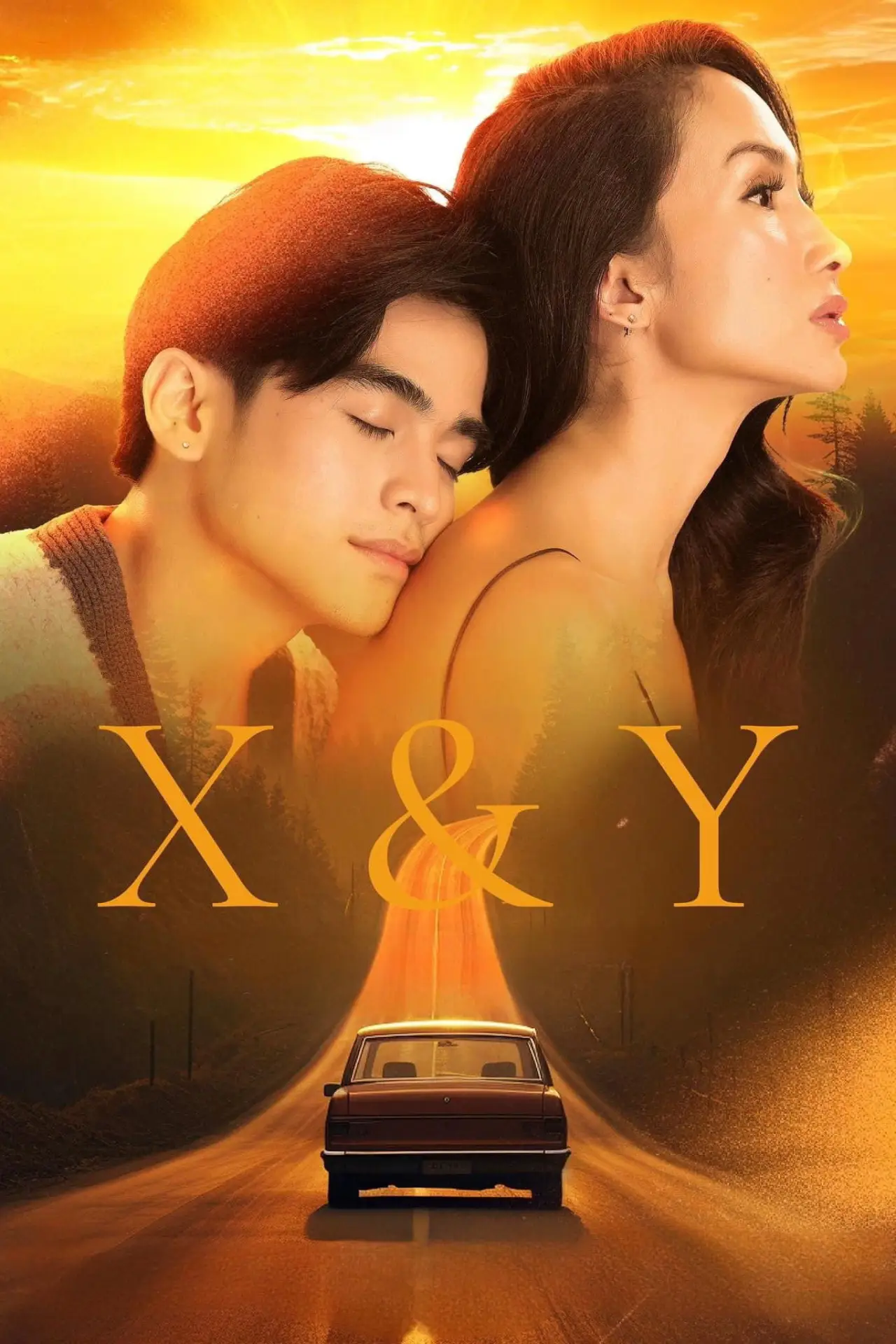 Movie poster "X&Y"