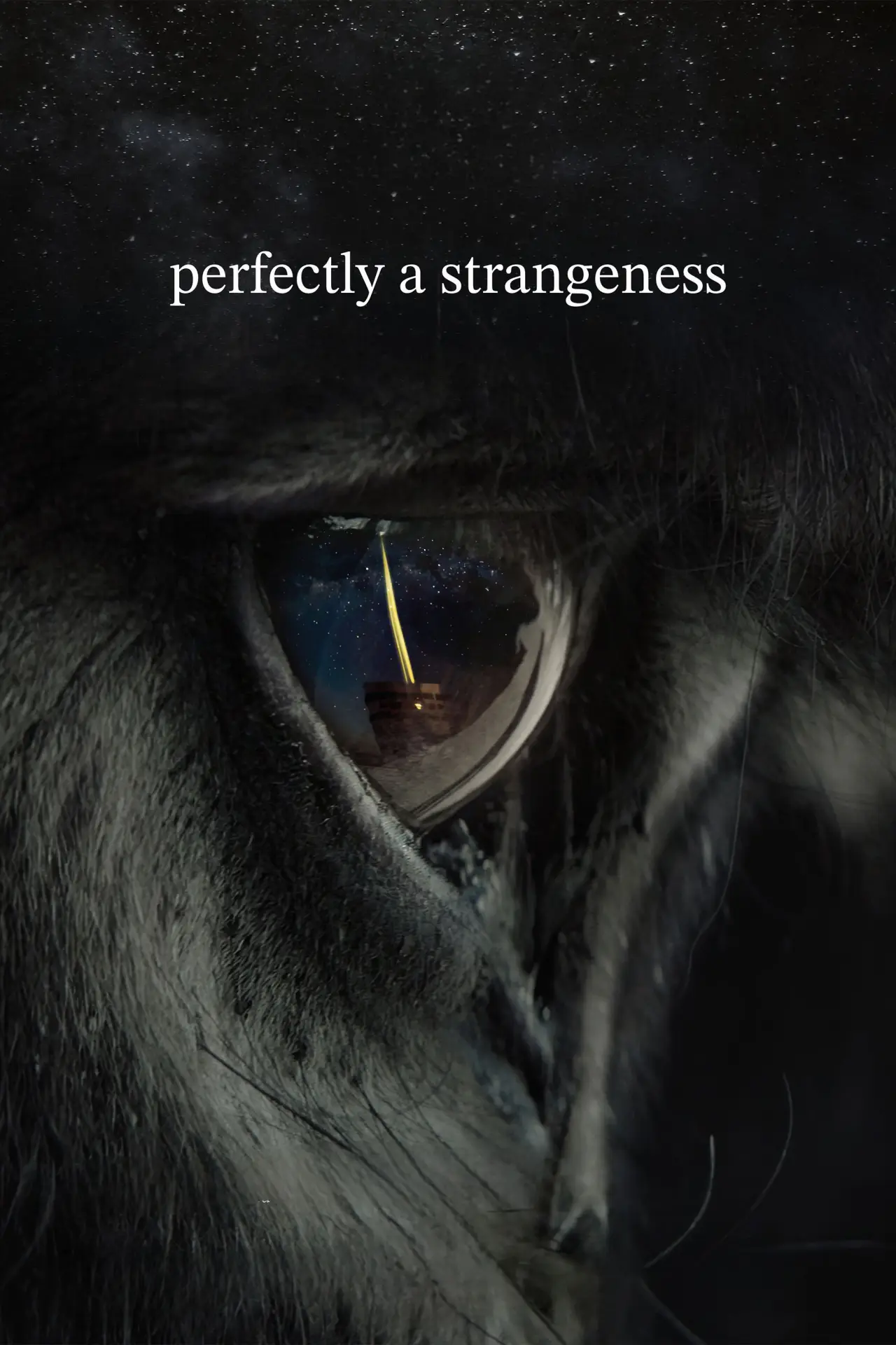 Movie poster "Perfectly A Strangeness"