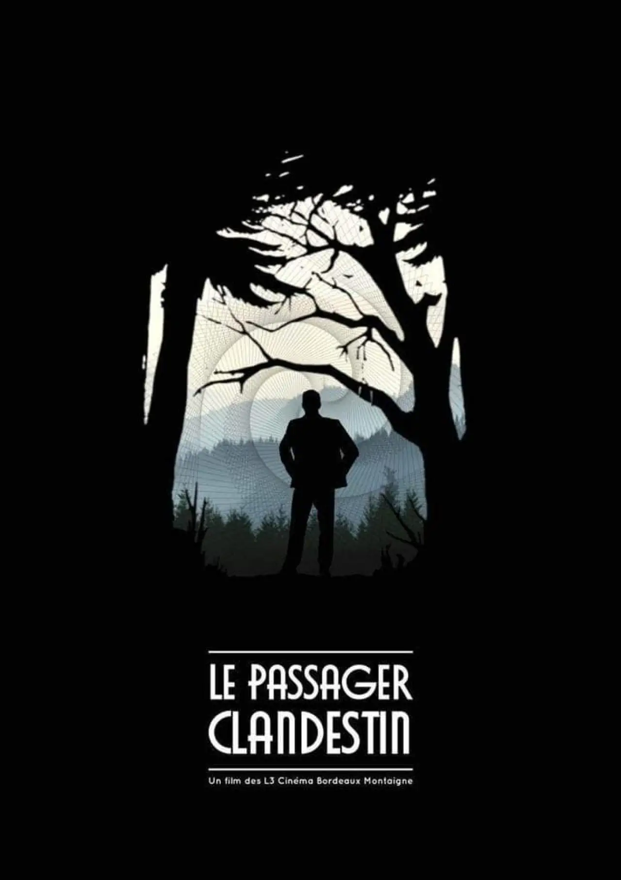 Movie poster "The Stowaway"