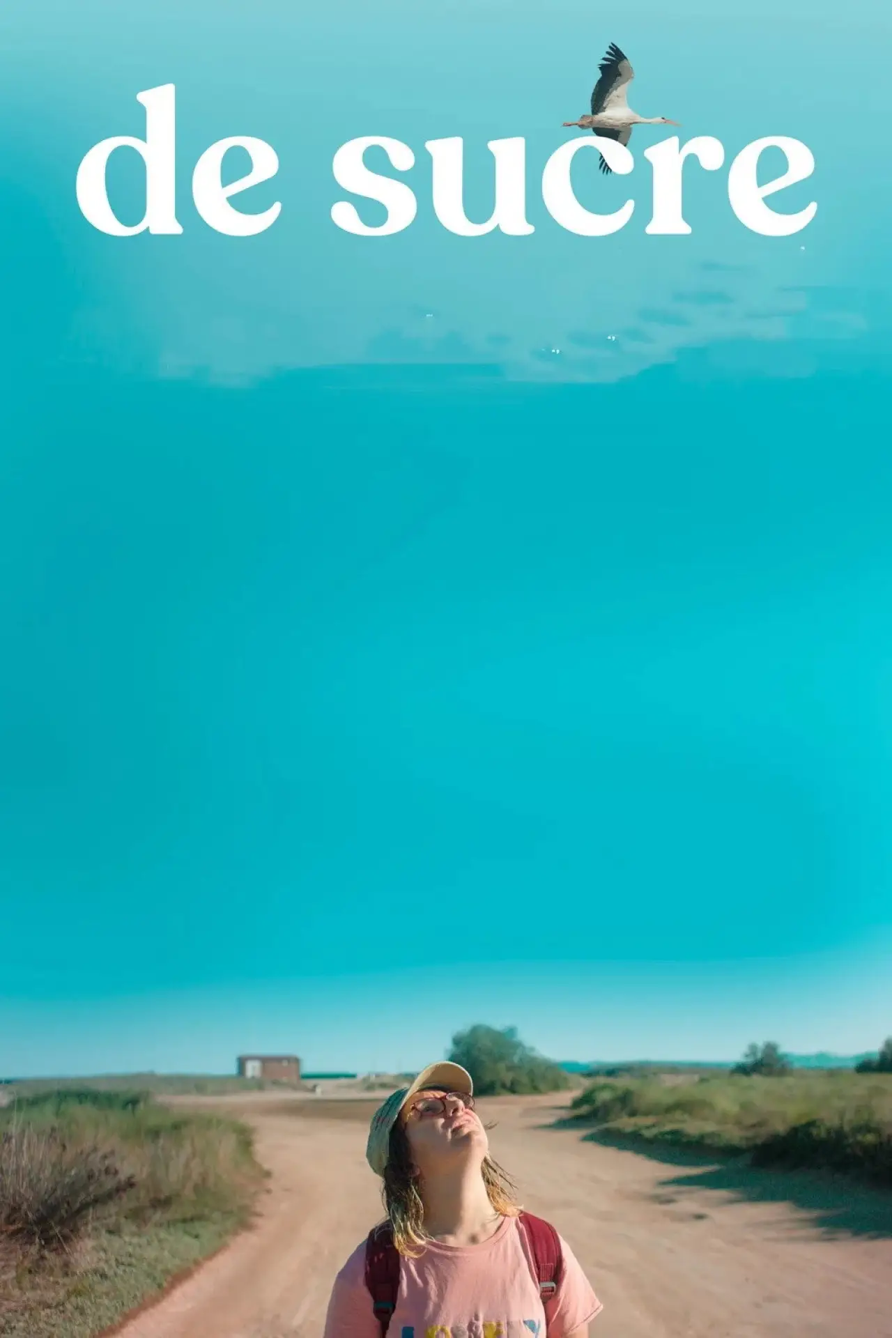 Movie poster "Made of Sugar"