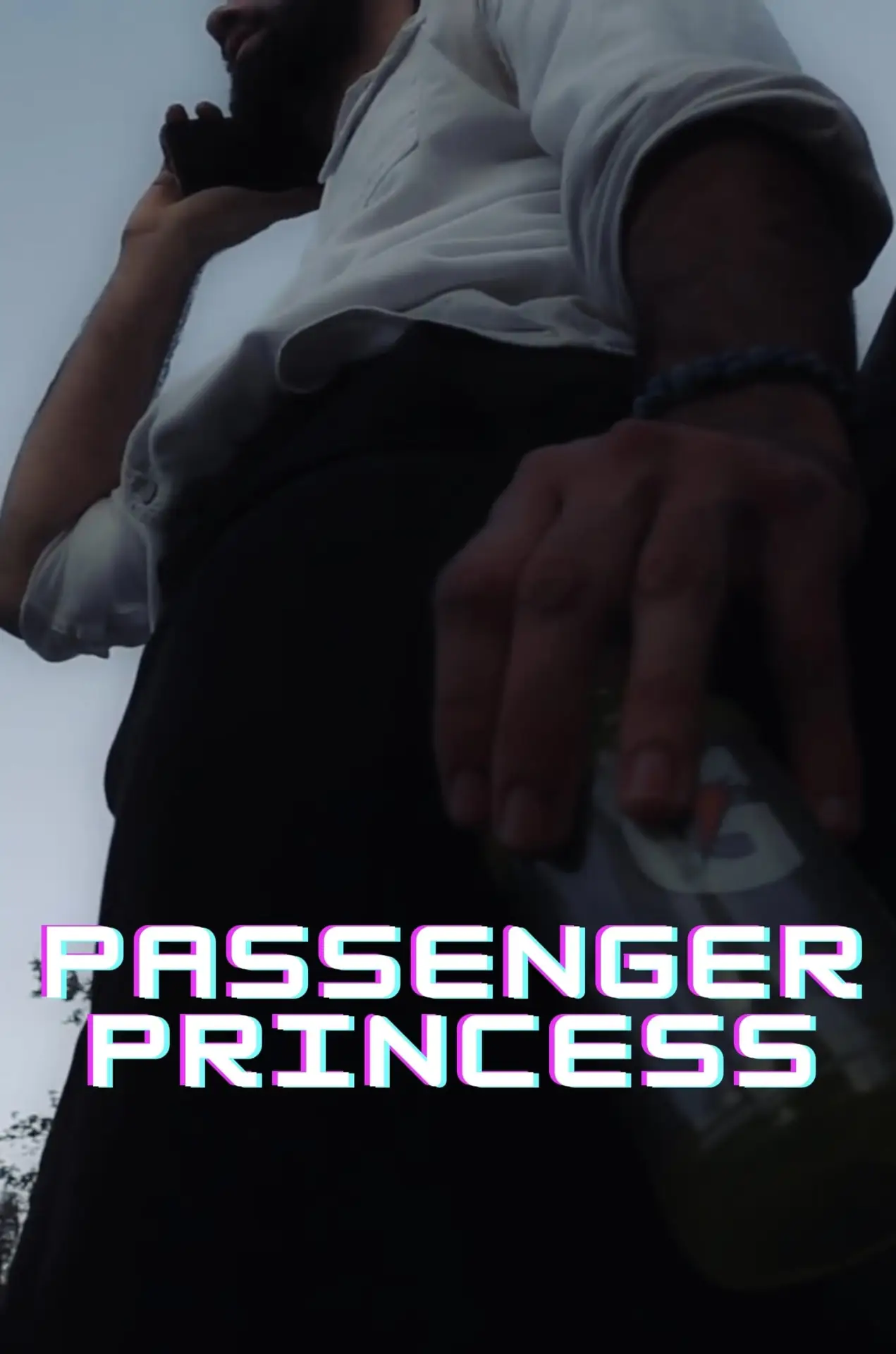 Movie poster "Passenger Princess"