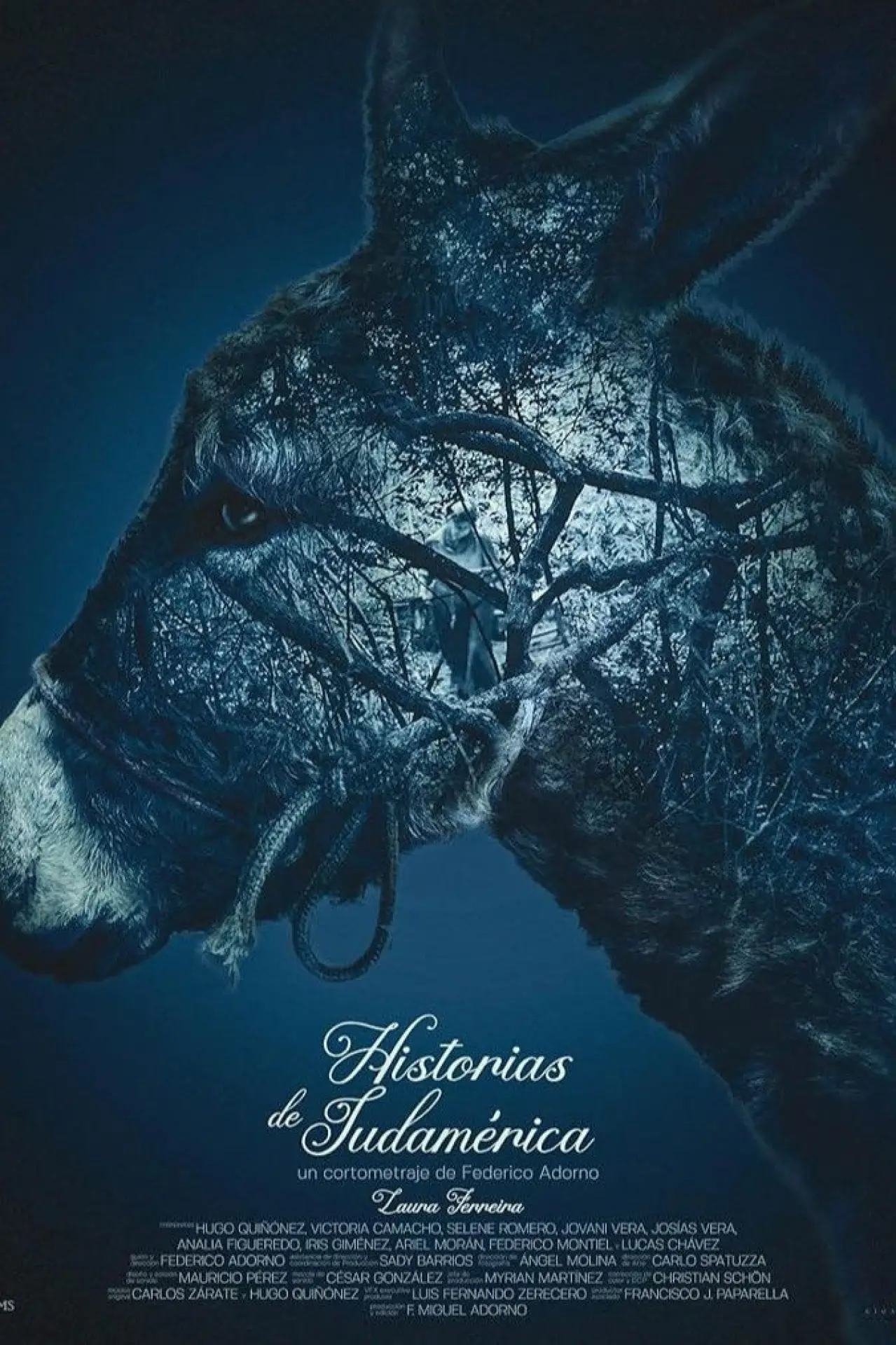 Movie poster "Stories from South America"