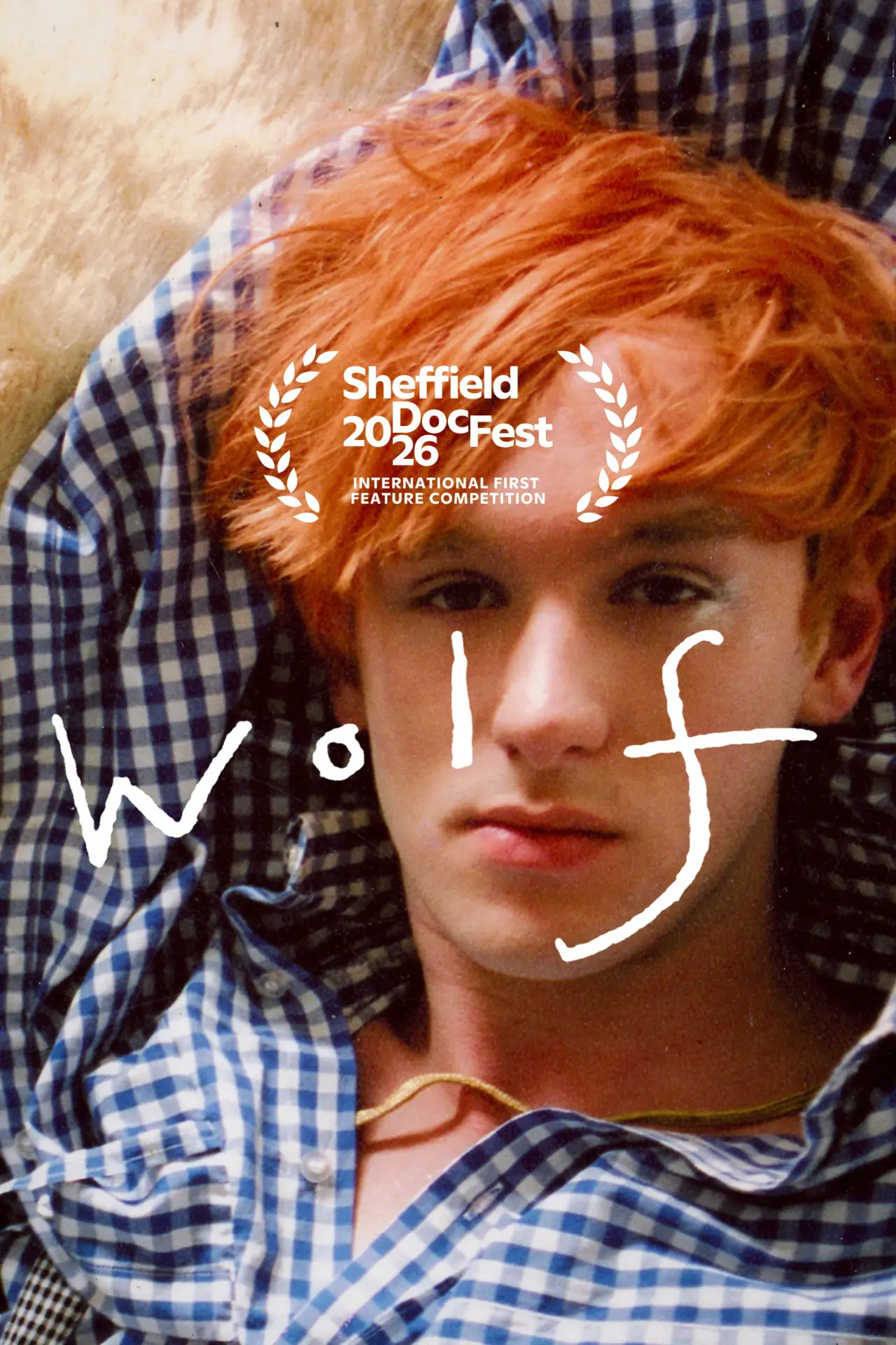 Movie poster "WOLF"