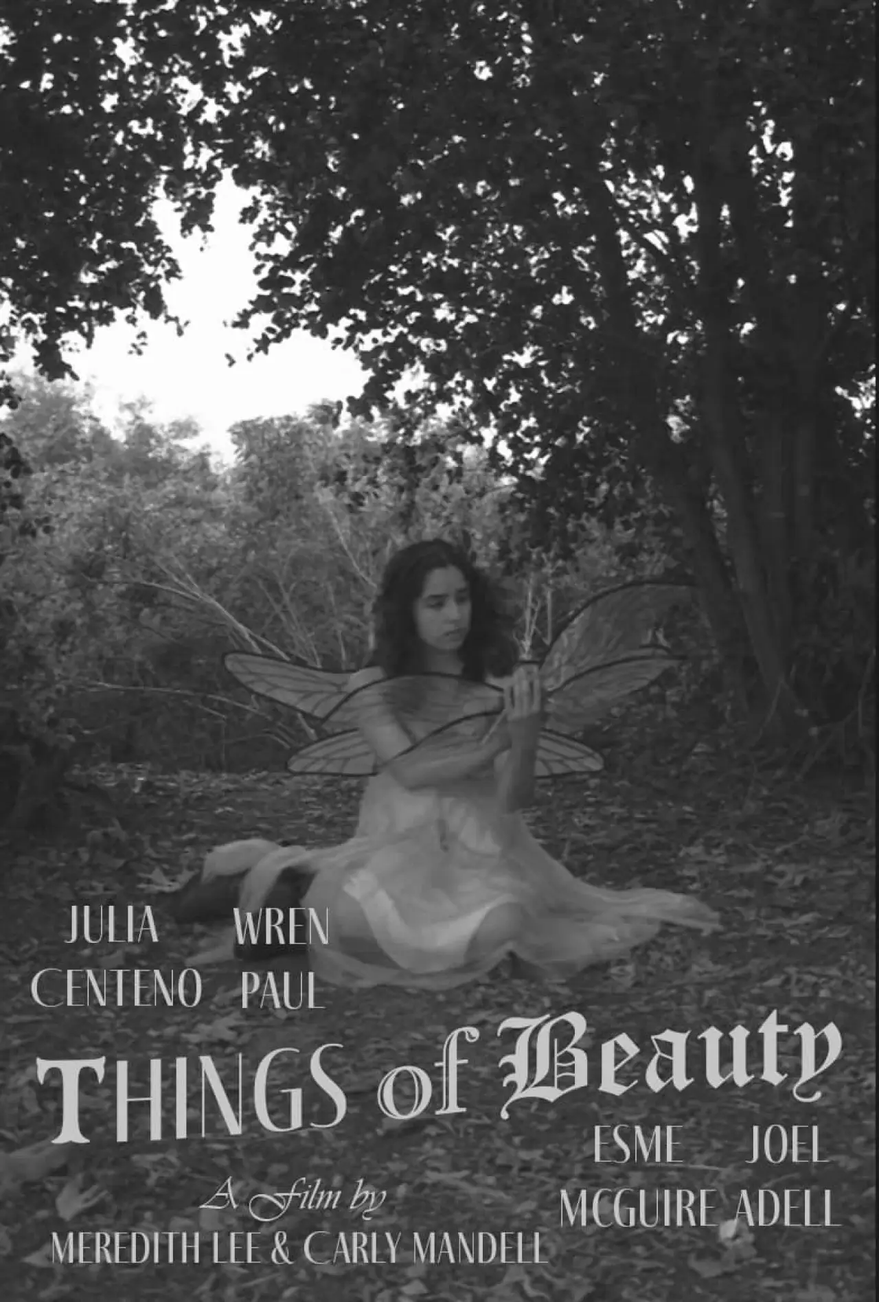 Movie poster "Things of Beauty"