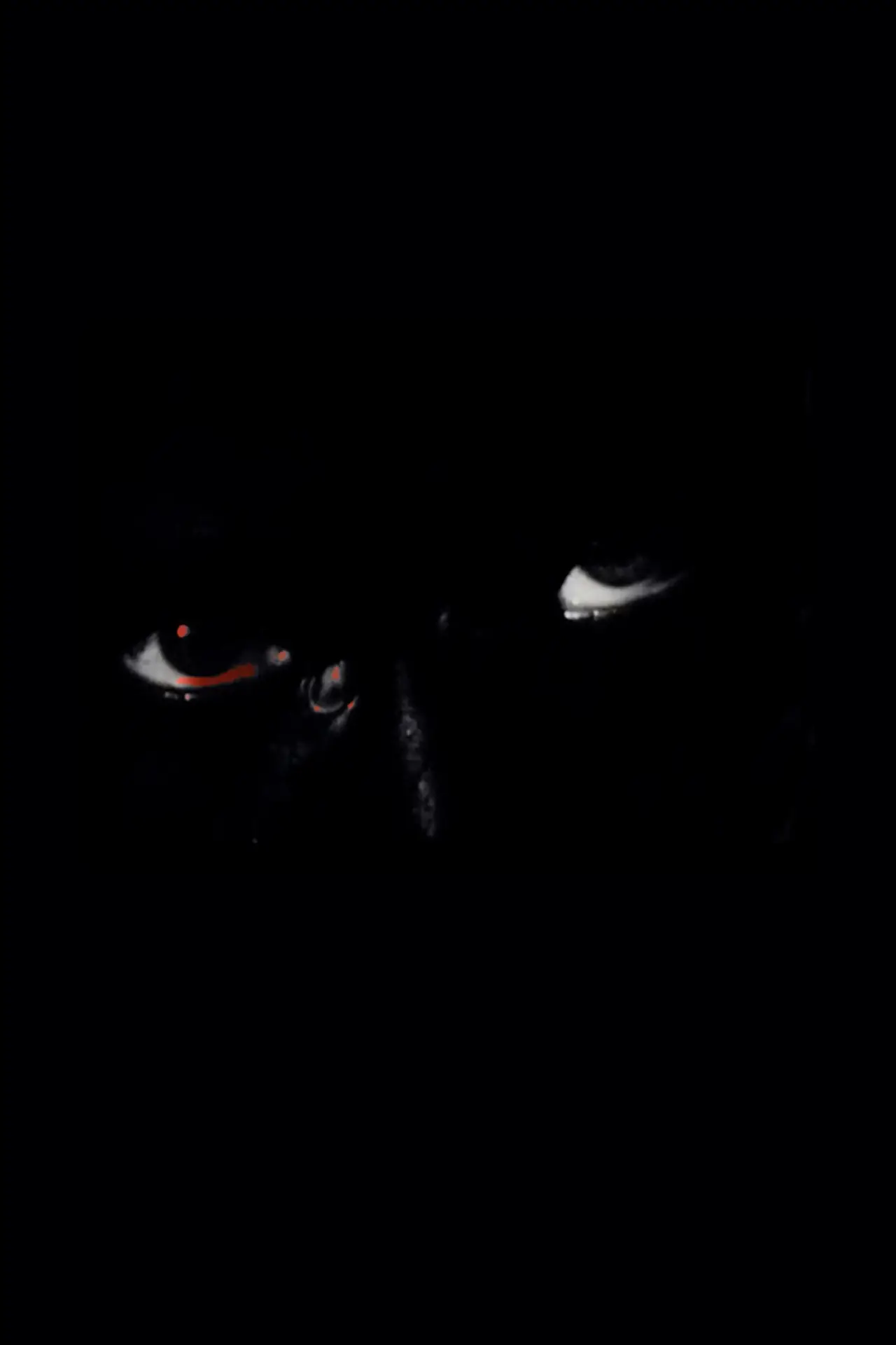 Movie poster "Projection"