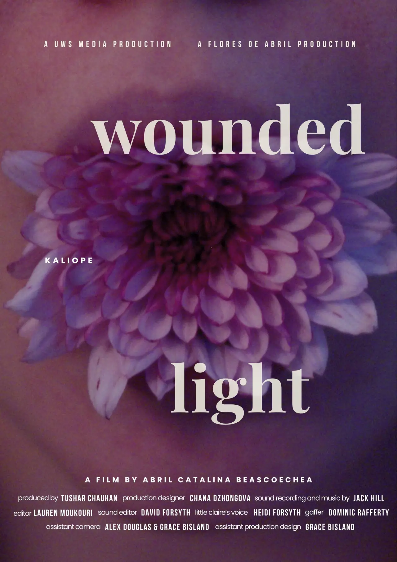 Movie poster "Wounded Light"