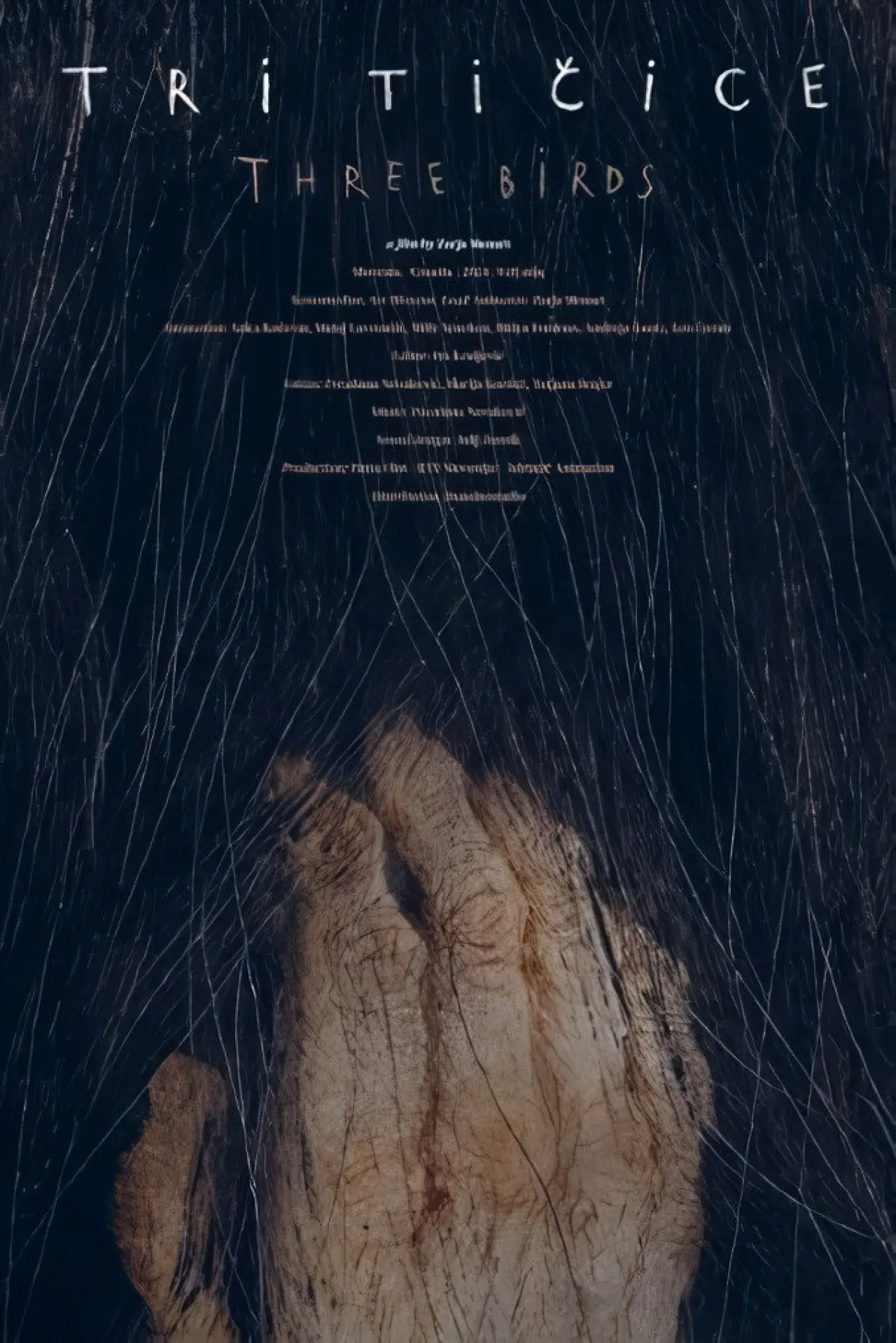 Movie poster "Three Birds"