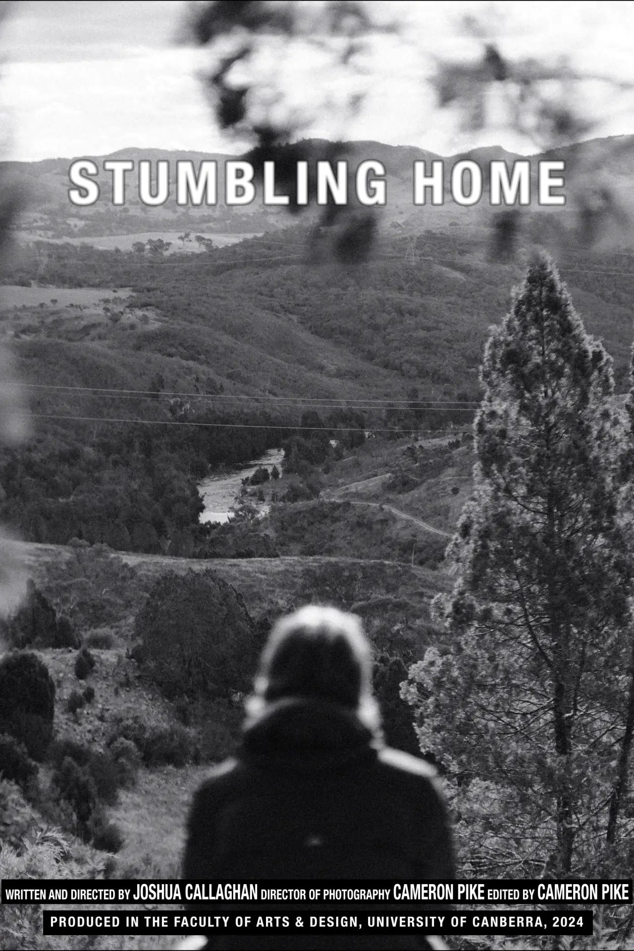 Movie poster "Stumbling Home"