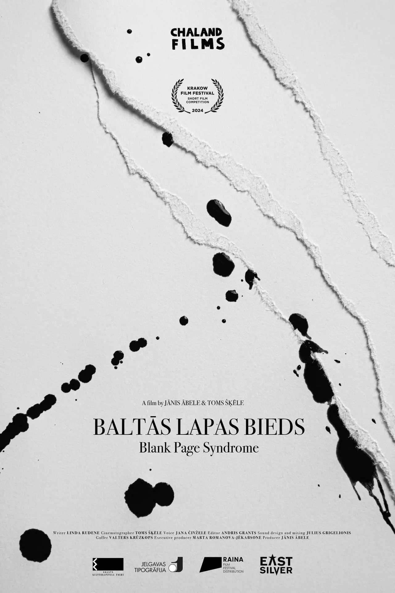 Movie poster "Blank Page Syndrome"