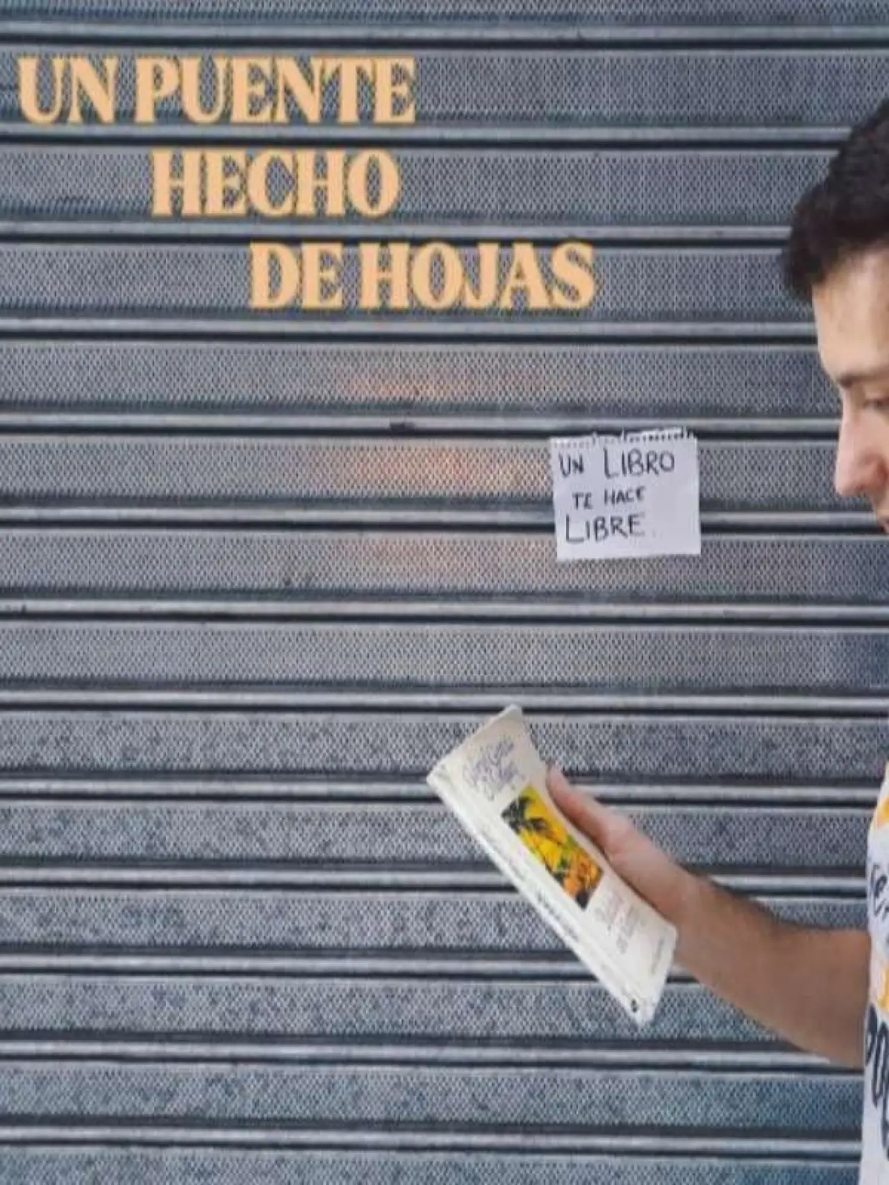 Movie poster "Un puente hecho de hojas"