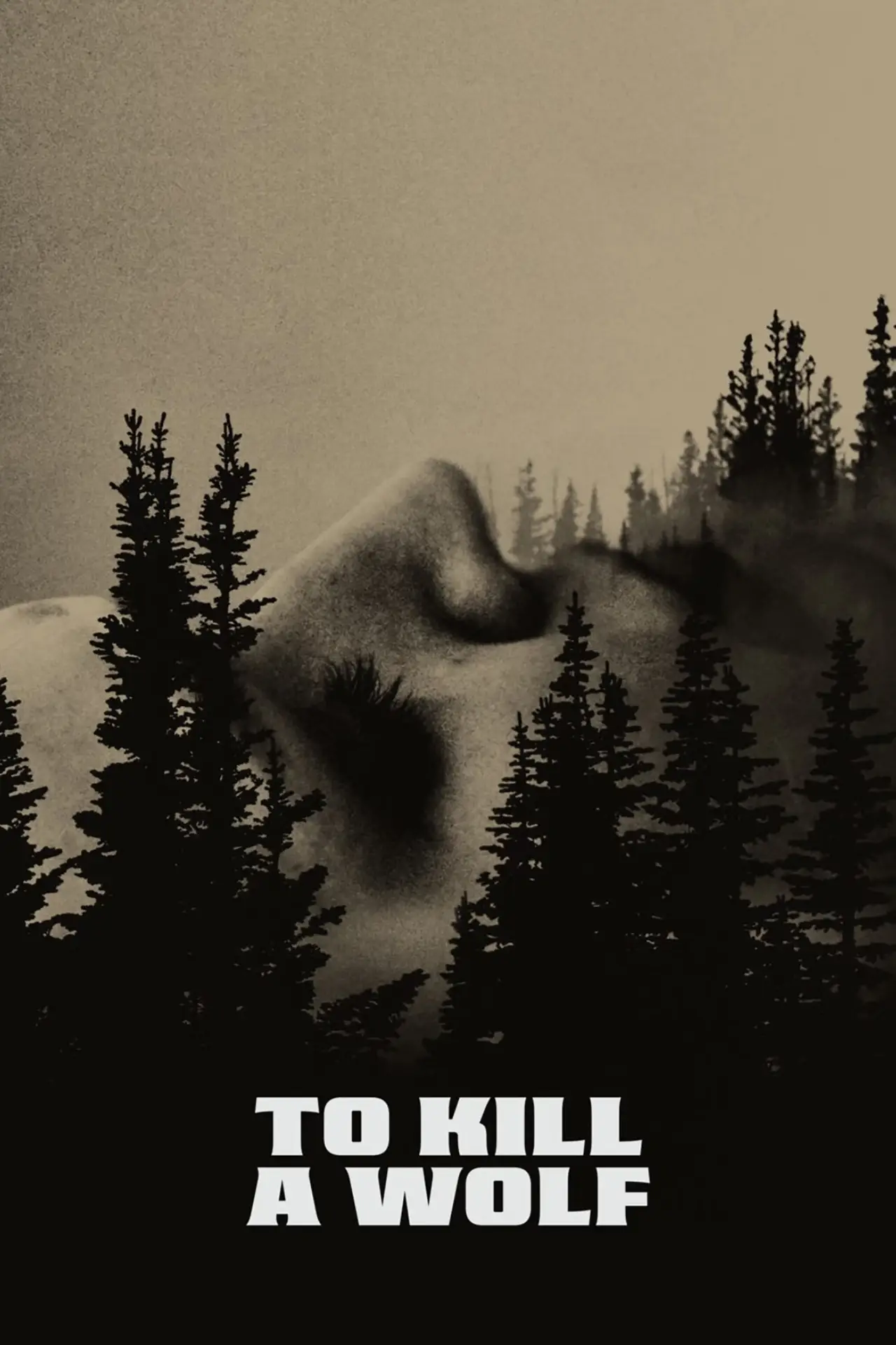Movie poster "To Kill a Wolf"