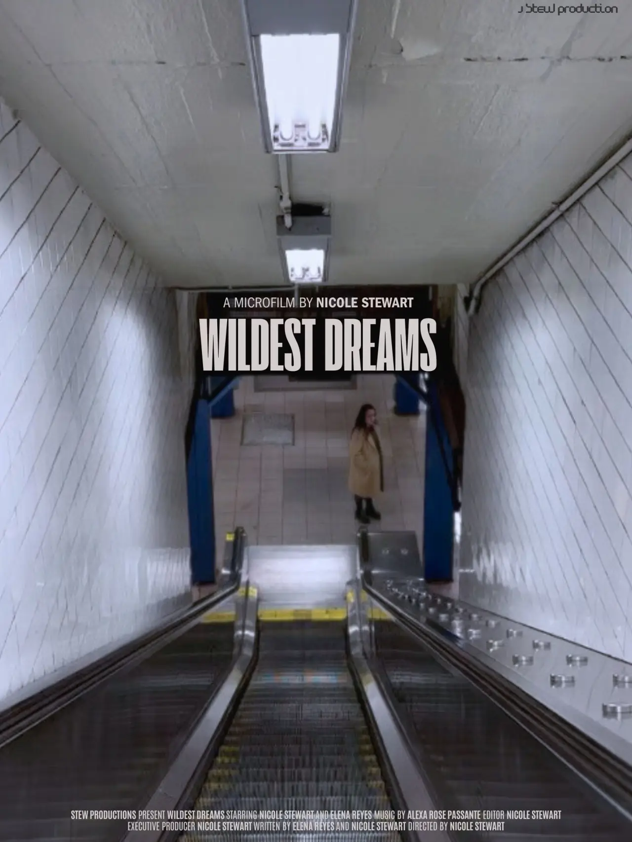 Movie poster "Wildest Dreams"