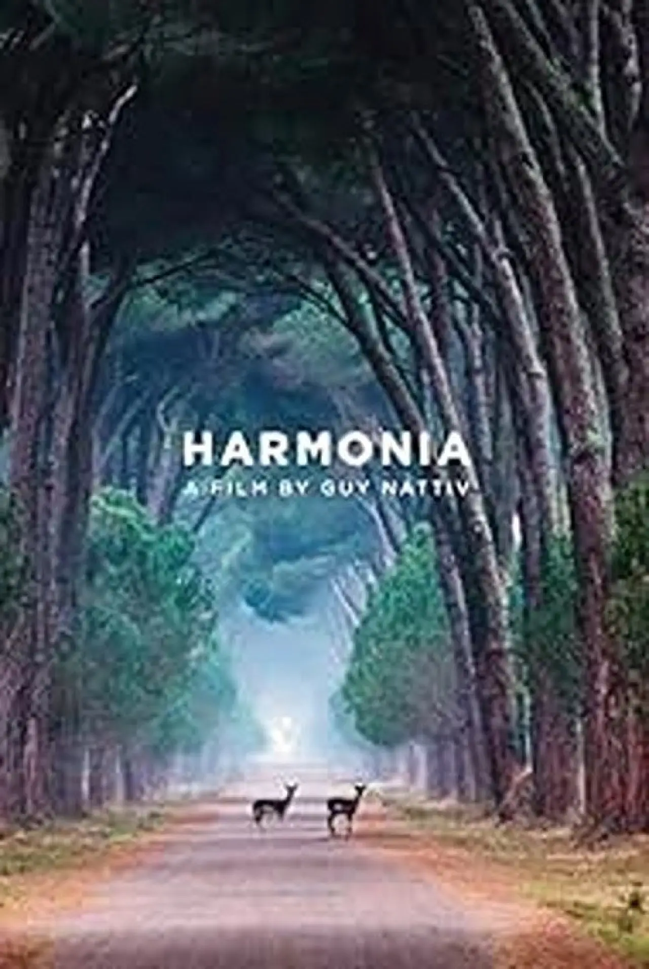 Movie poster "Harmonia"