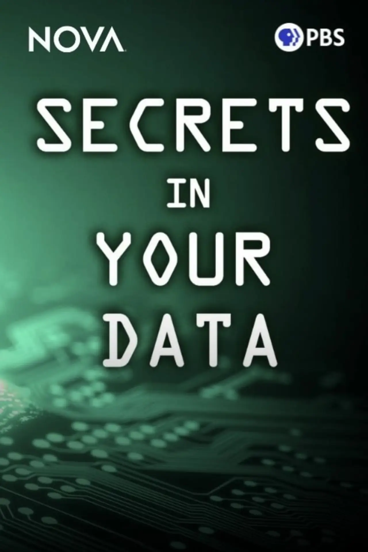 Movie poster "Secrets in Your Data"