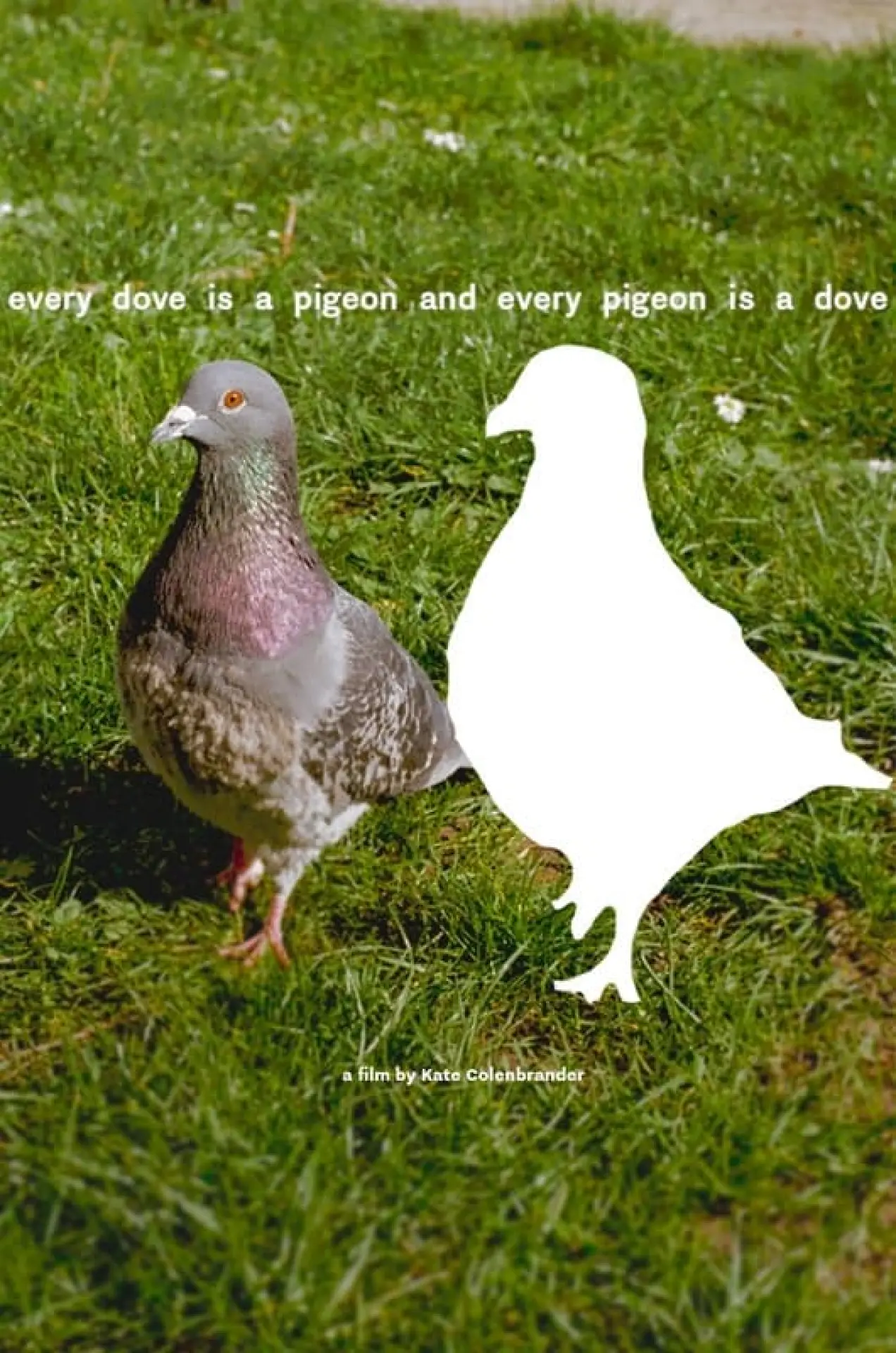 Movie poster "every dove is a pigeon and every pigeon is a dove"