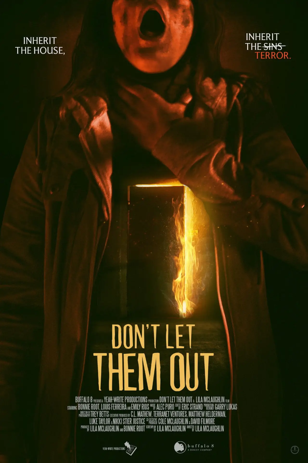 Movie poster "Don