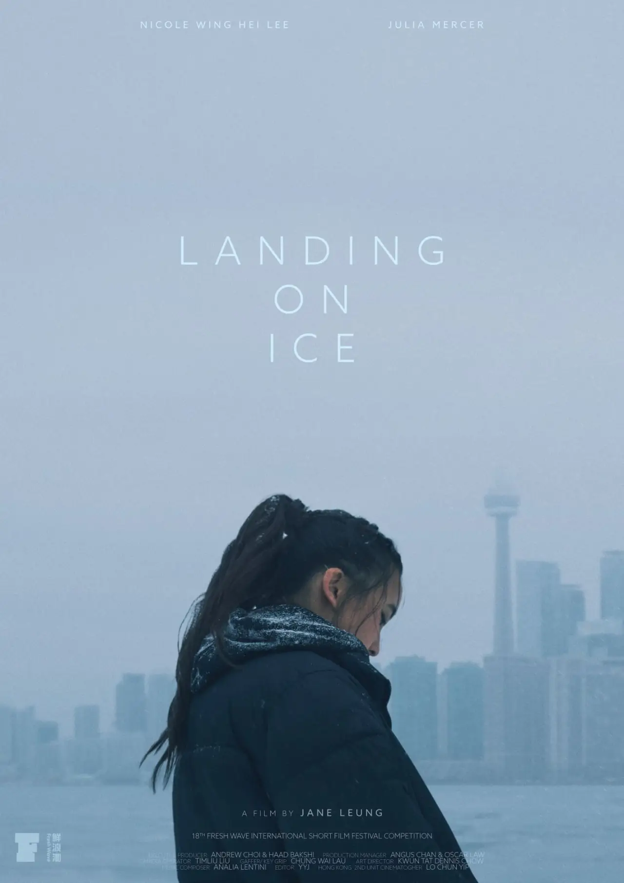 Movie poster "Landing On Ice"