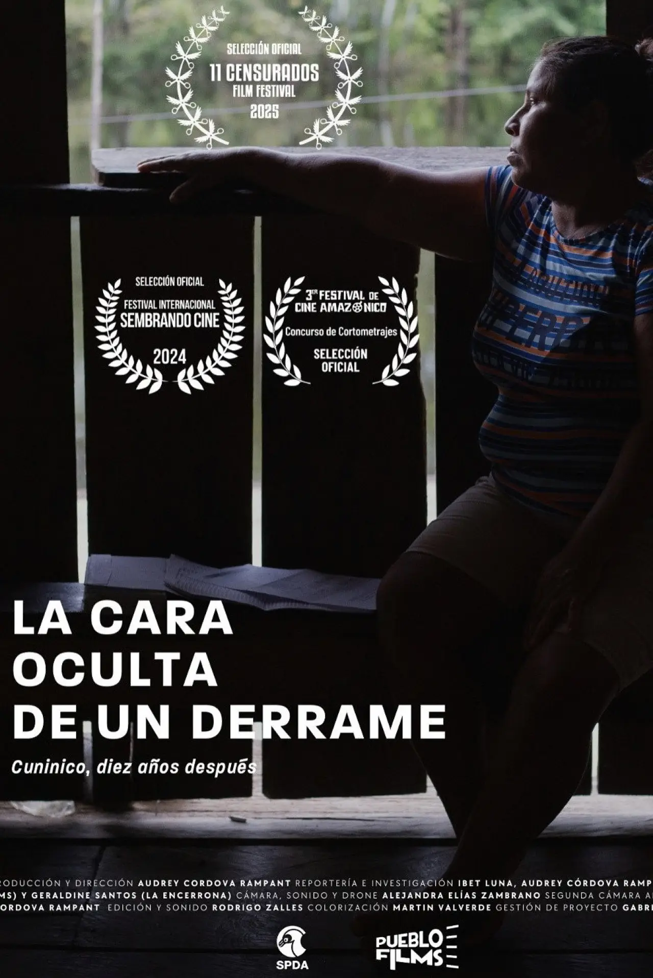 Movie poster "La cara oculta de un derrame"