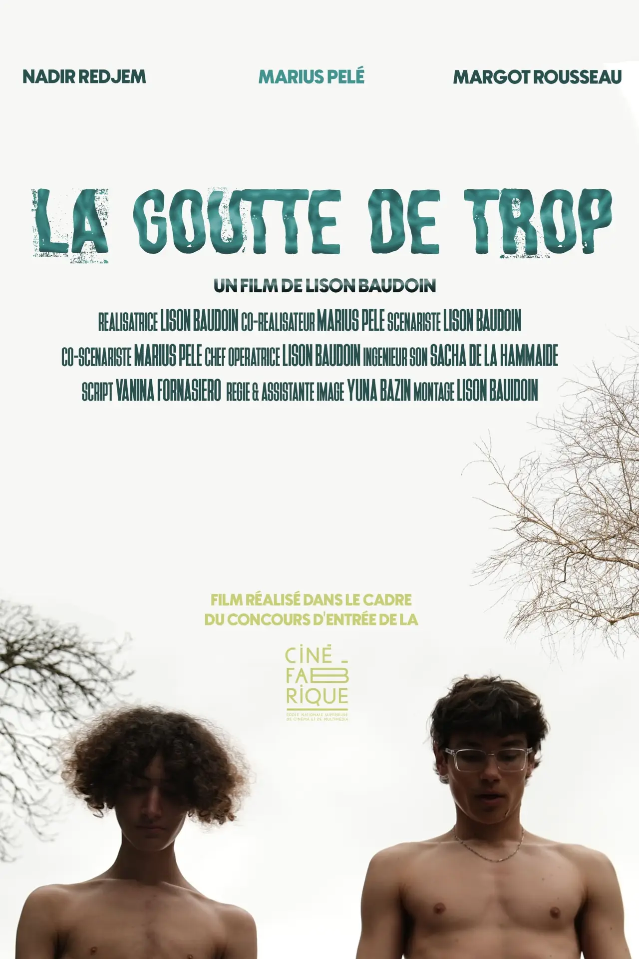 Movie poster "La goutte de trop"