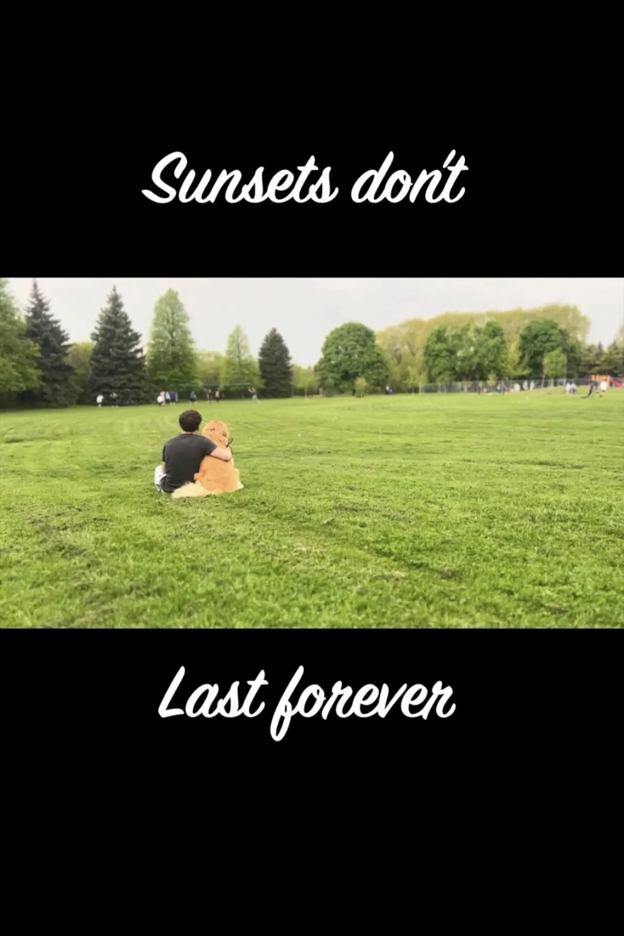Movie poster "Sunsets Don