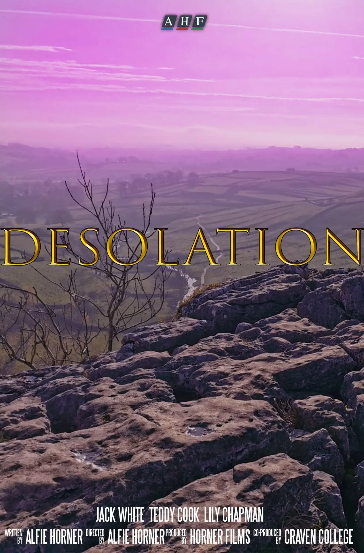 Movie poster "Desolation"